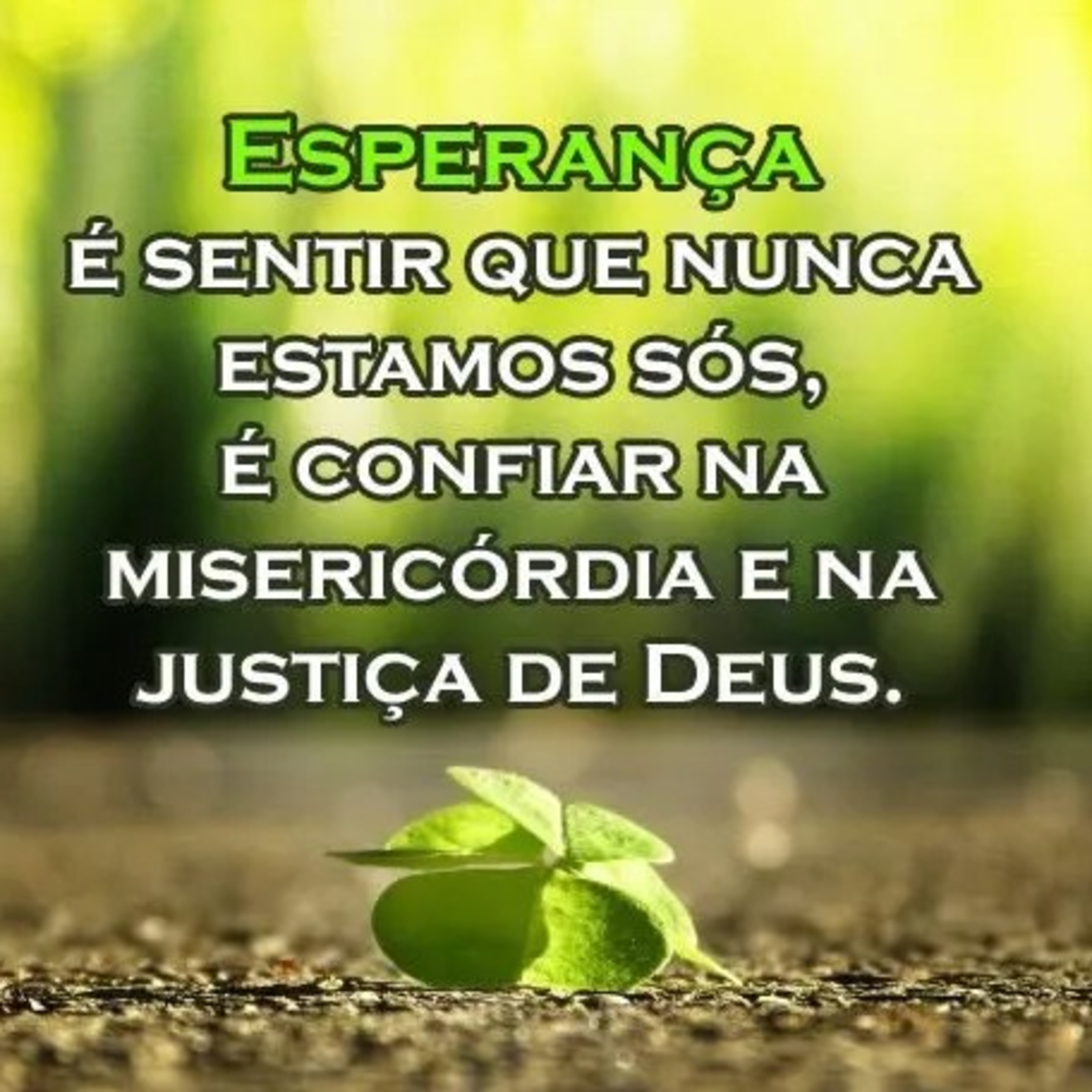 MISERICÓRDIA episode artwork