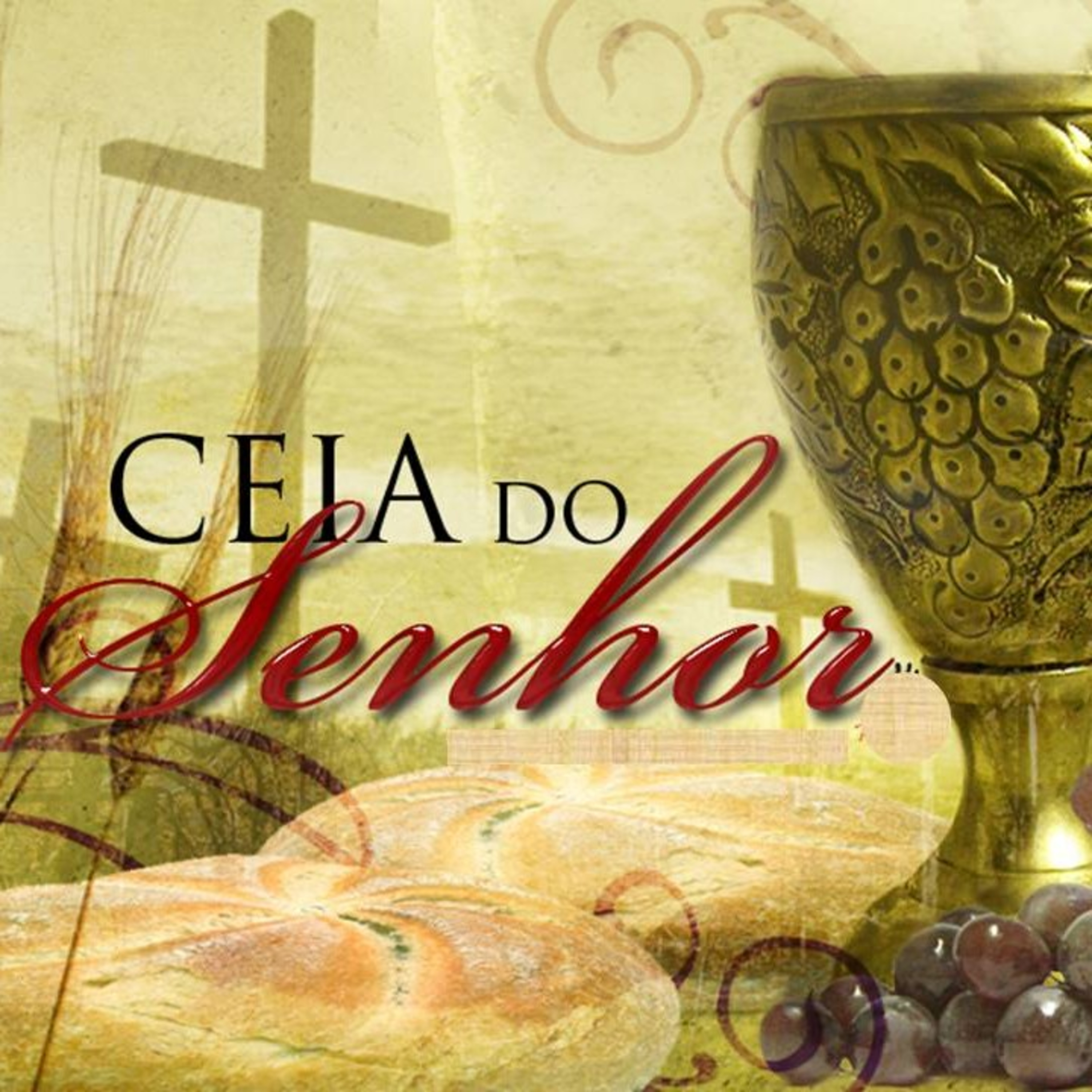 O SIGNIFICADO DA CEIA DO SENHOR episode artwork