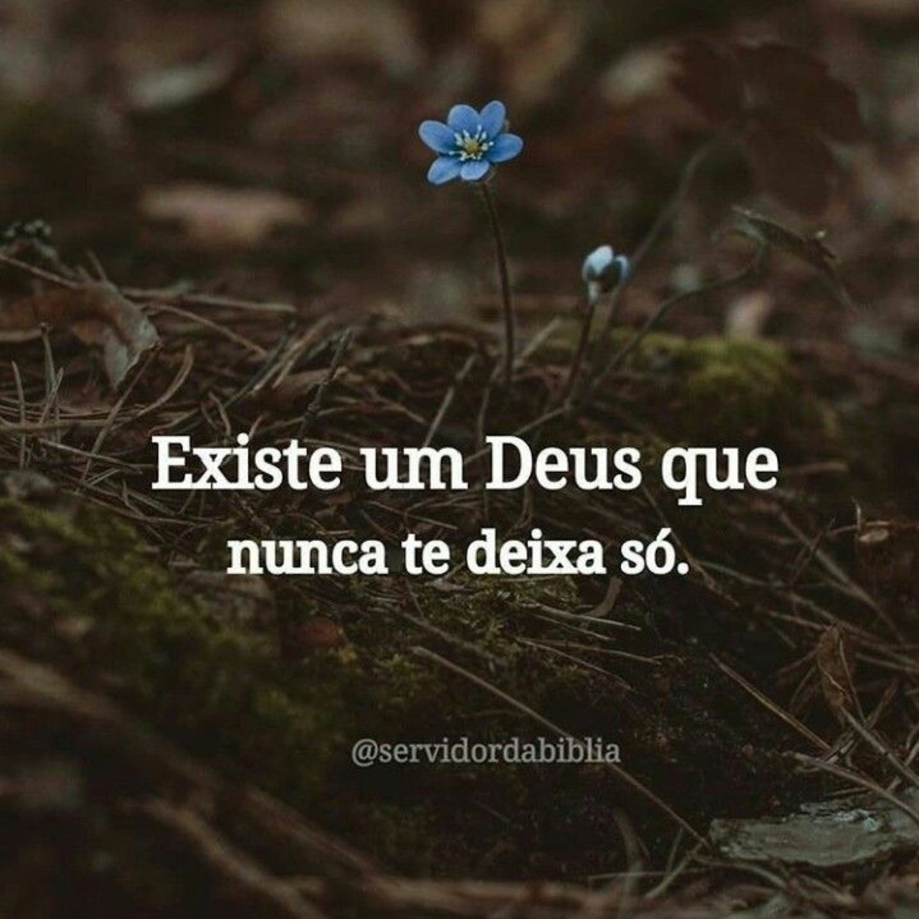 RECONHEÇA DEUS EM TODOS OS SEUS CAMINHOS episode artwork
