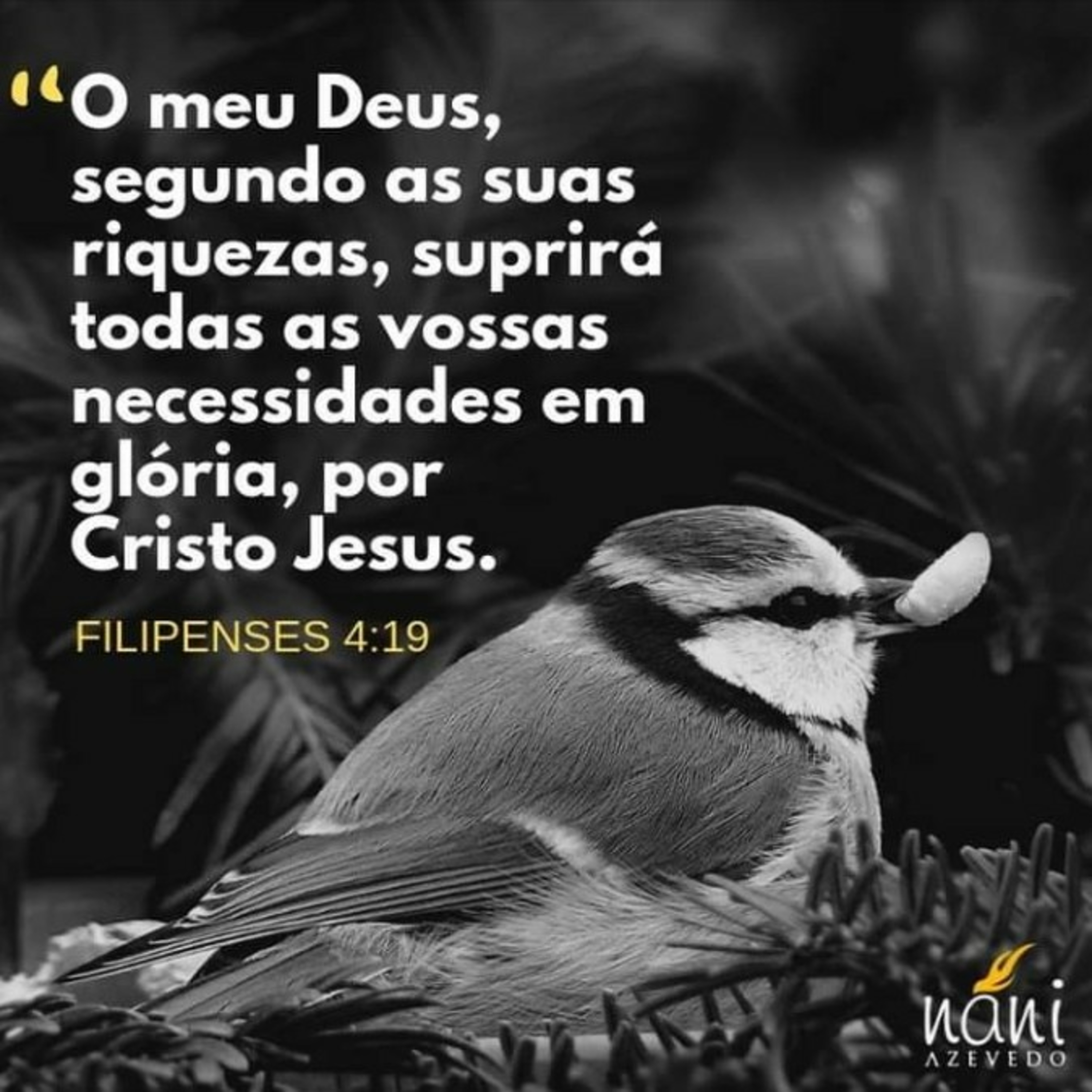 DEUS SUPRI NOSSAS NECESSIDADES episode artwork