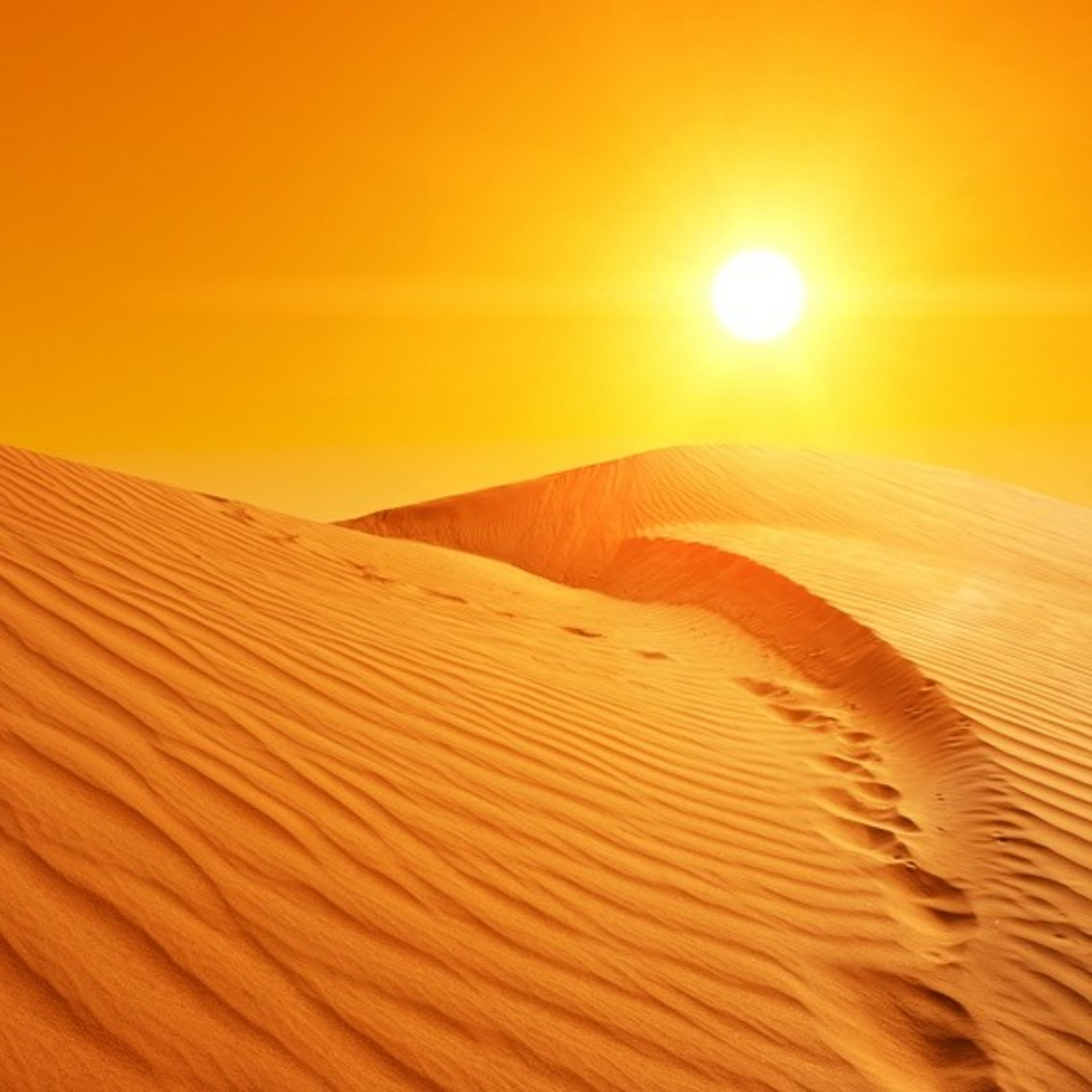DESERTO É LUGAR DE PREPARAÇÃO  episode artwork