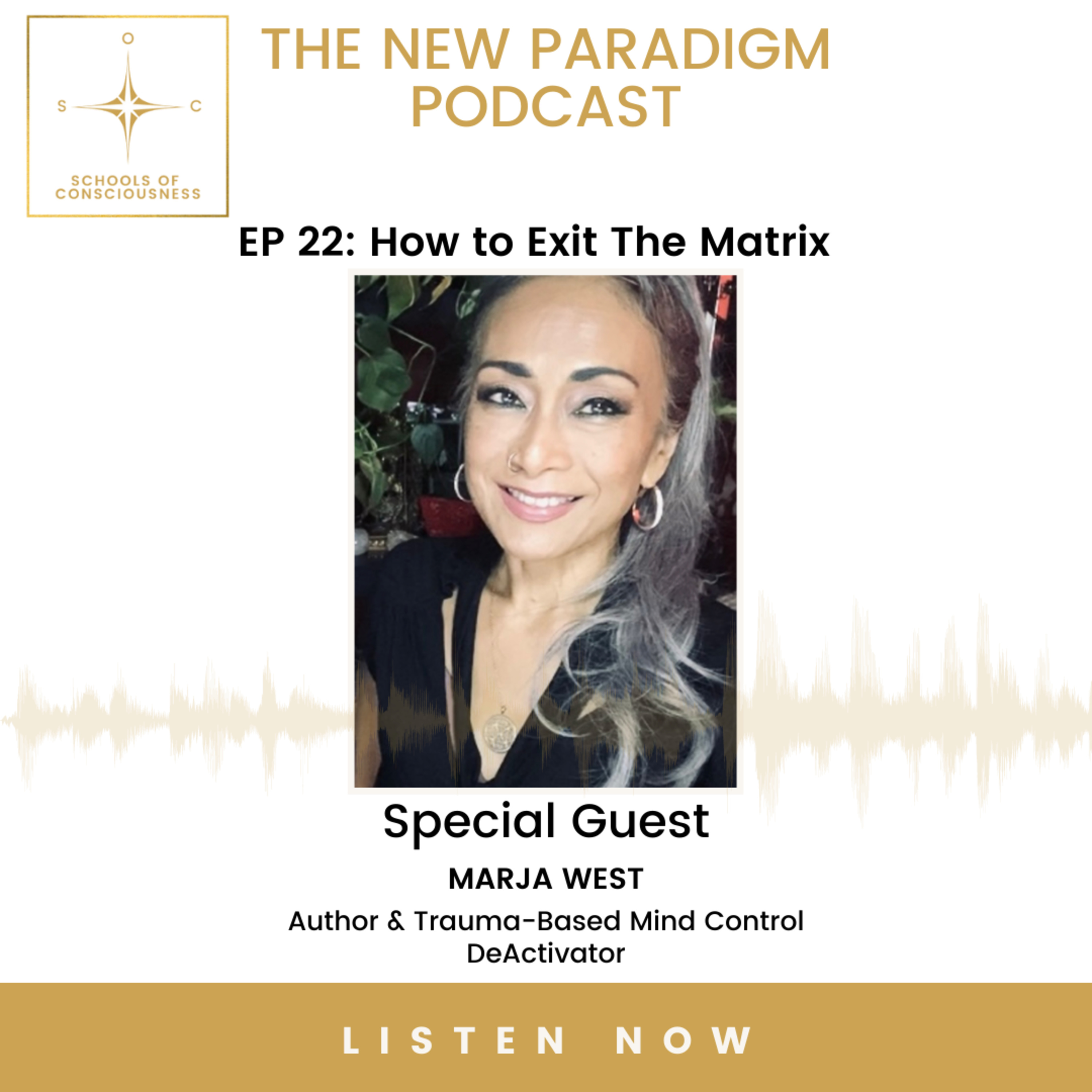 The New Paradigm Podcast