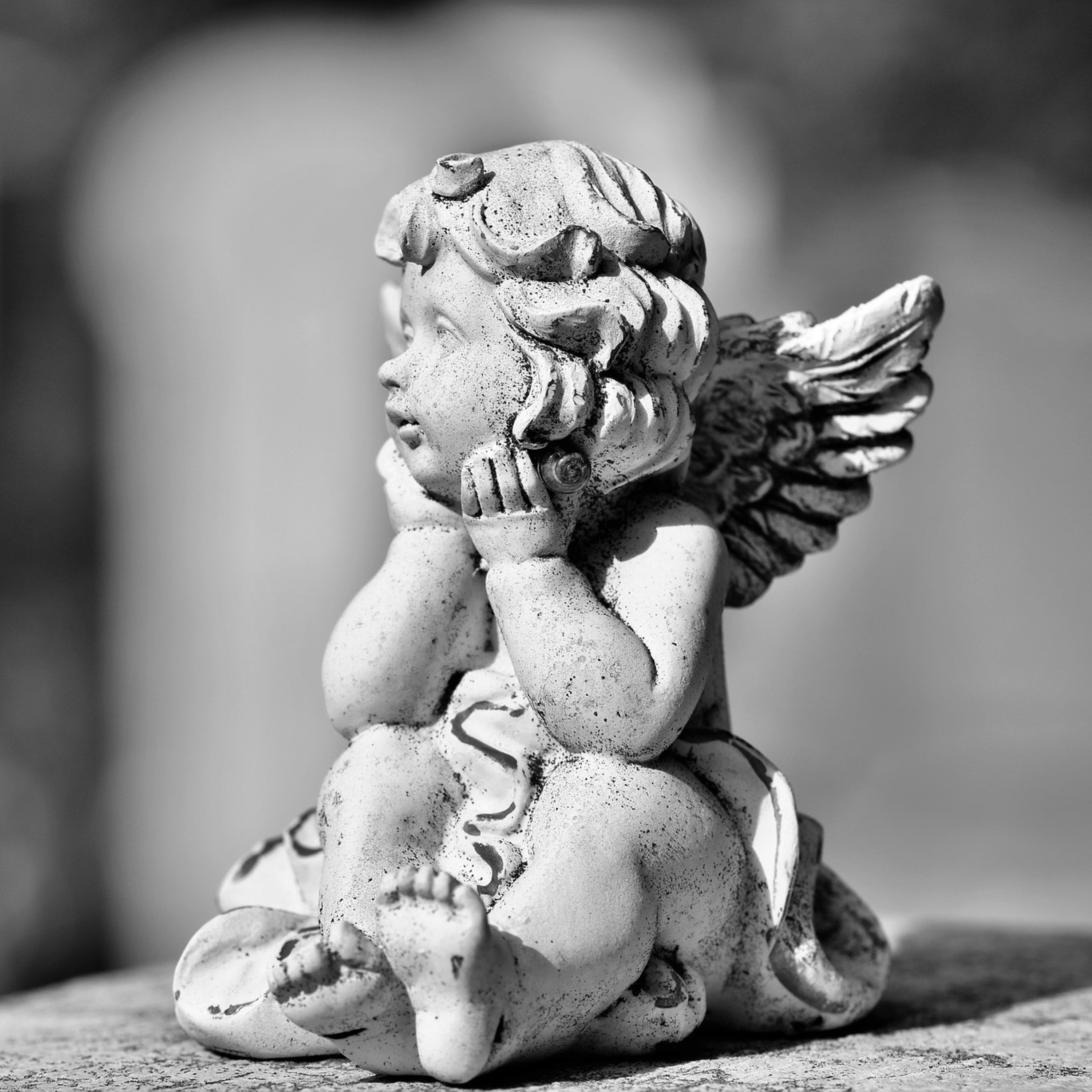 Memorial das Sombras, os contos.