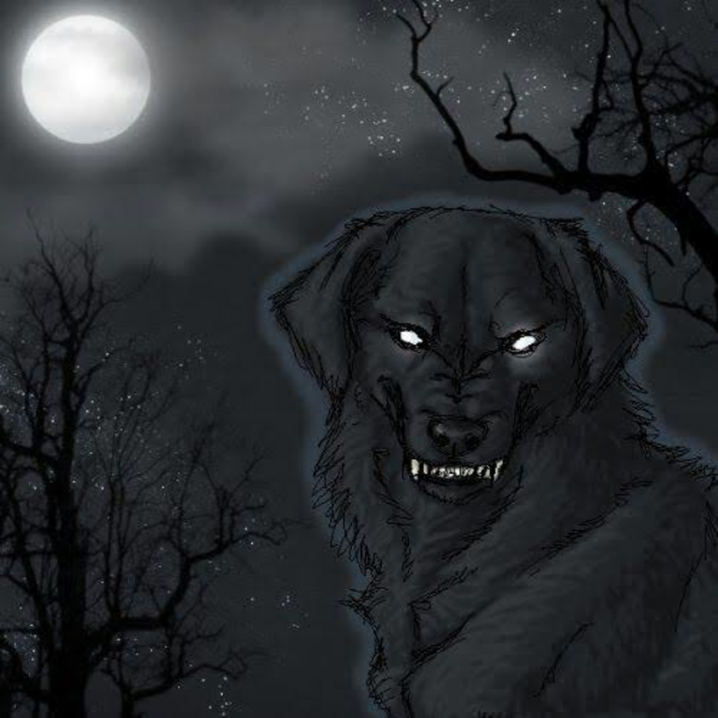 ANJING PEMBELA RASULULLAH SHALLALLAHU ALAIHI WASALLAM - UST RIYADH BIN BADR BAJREY HAFIZAHULLAH  episode artwork