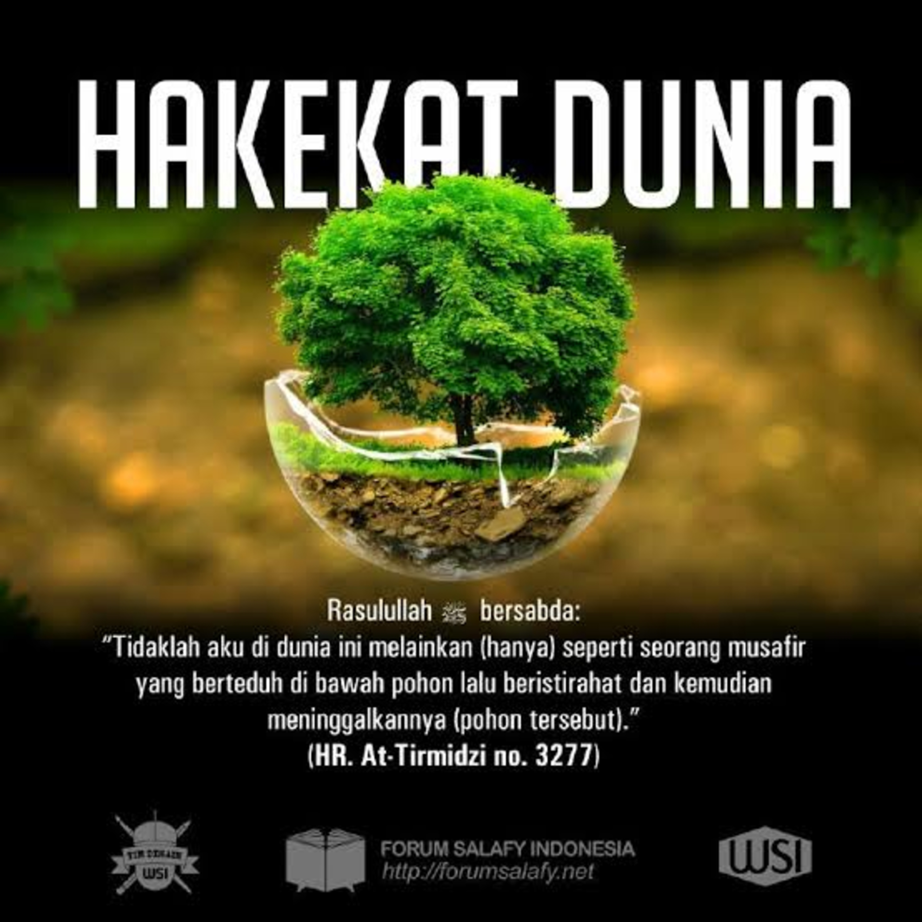 HAKIKAT DUNIA - UST KHALID BASALAMAH HAFIZAHULLAH  episode artwork