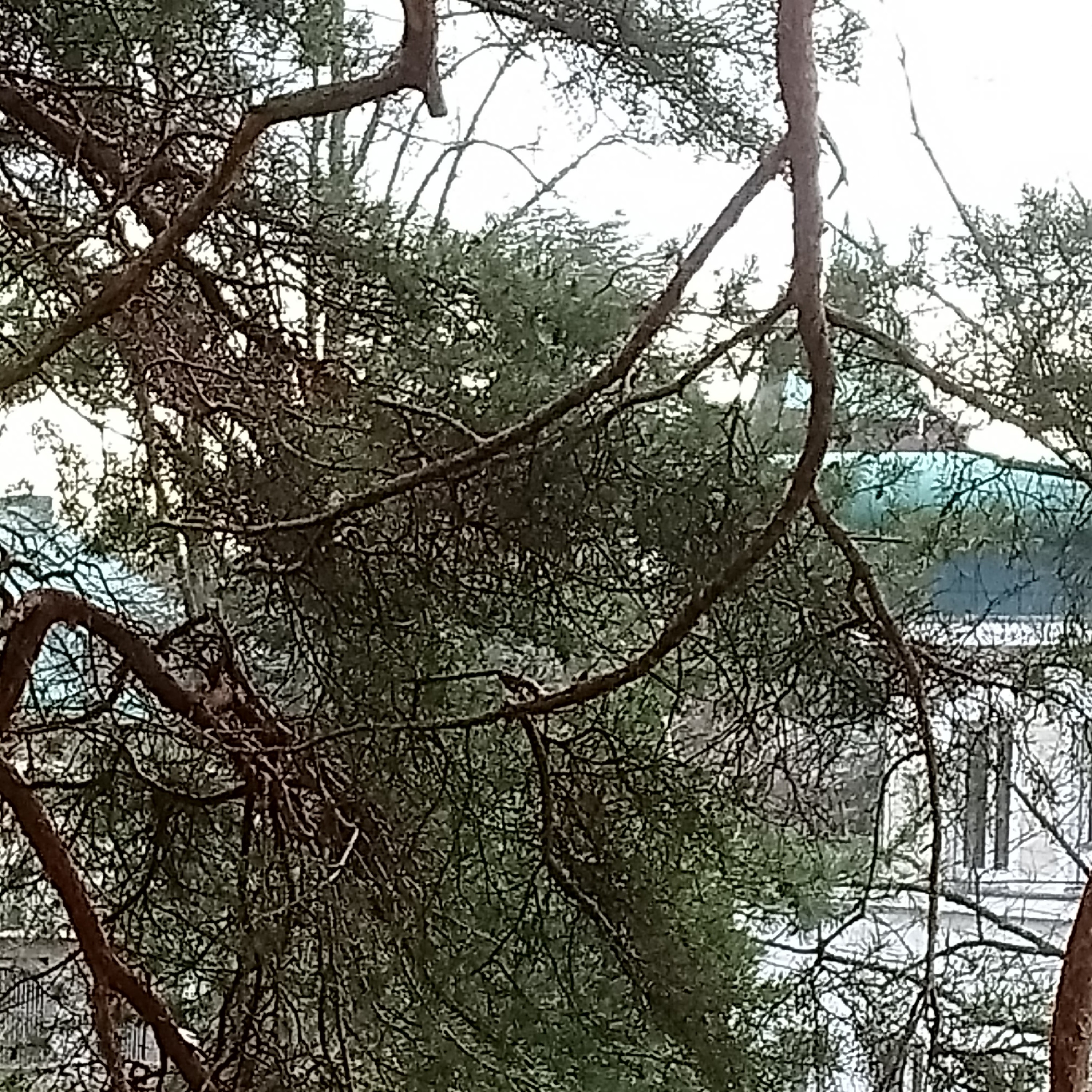 Der Nollendorfplatz In Berlin 10/2020