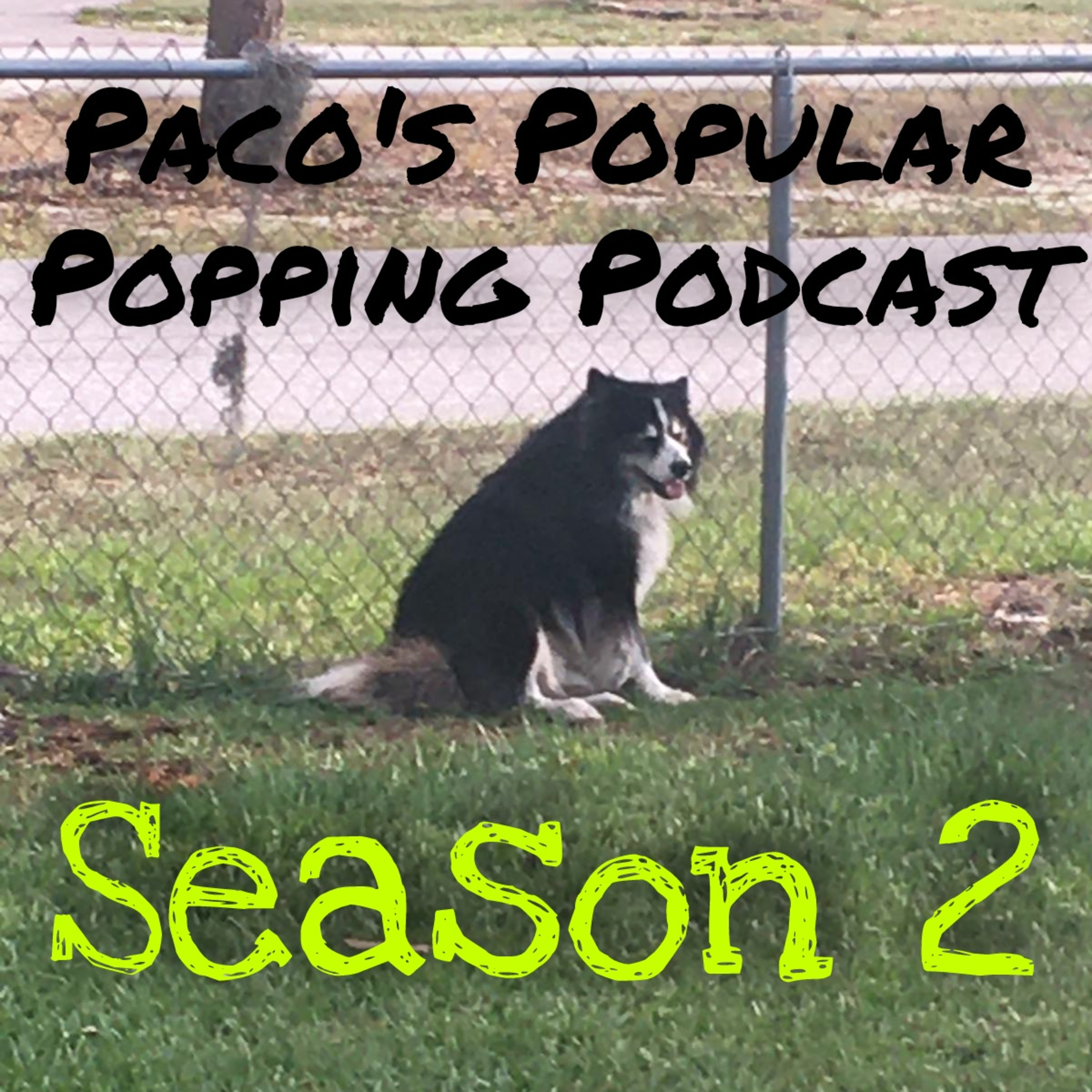 Season 2 Episode 1: Phoenix Rising
