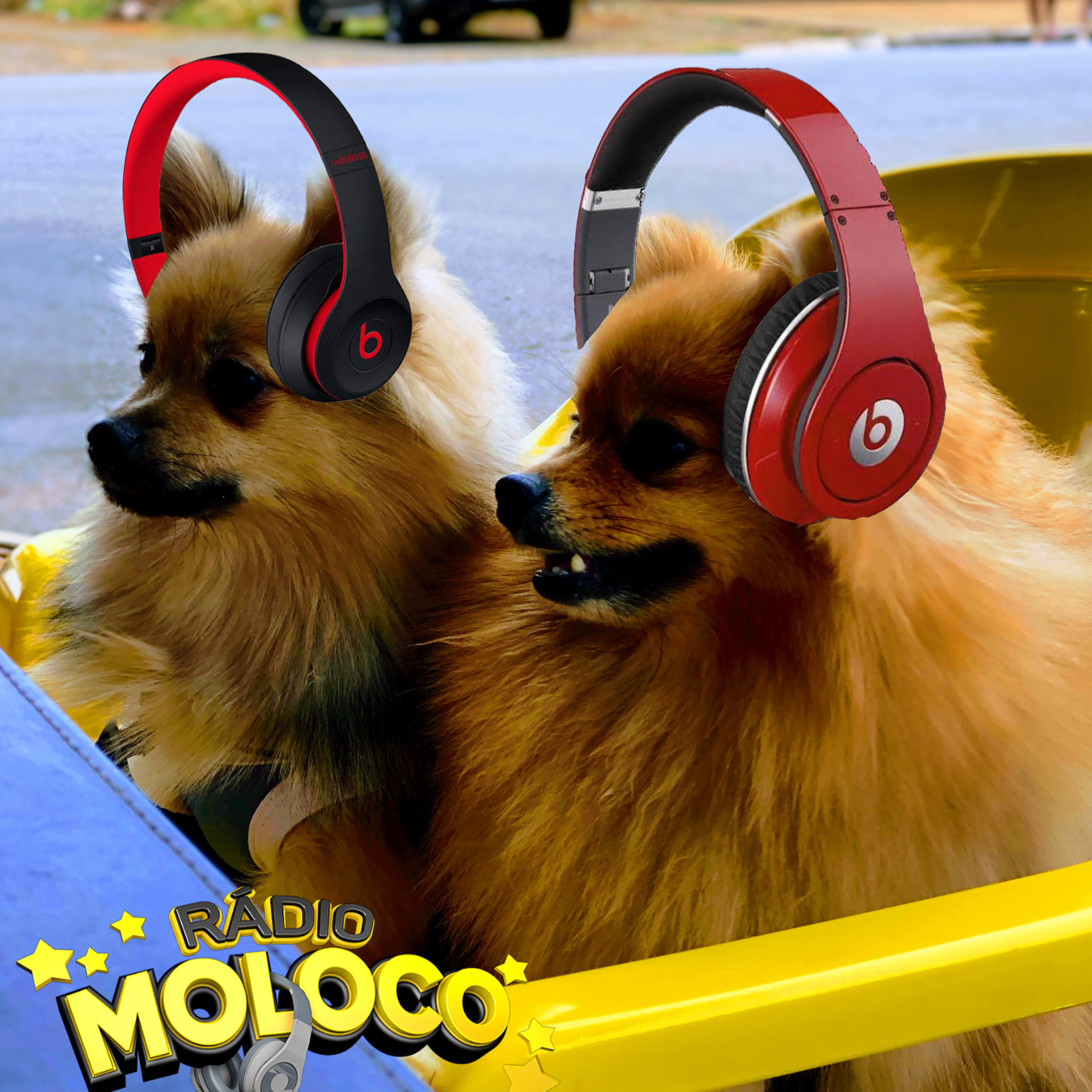 Programa Moloco 4 Novembro 2019 episode artwork