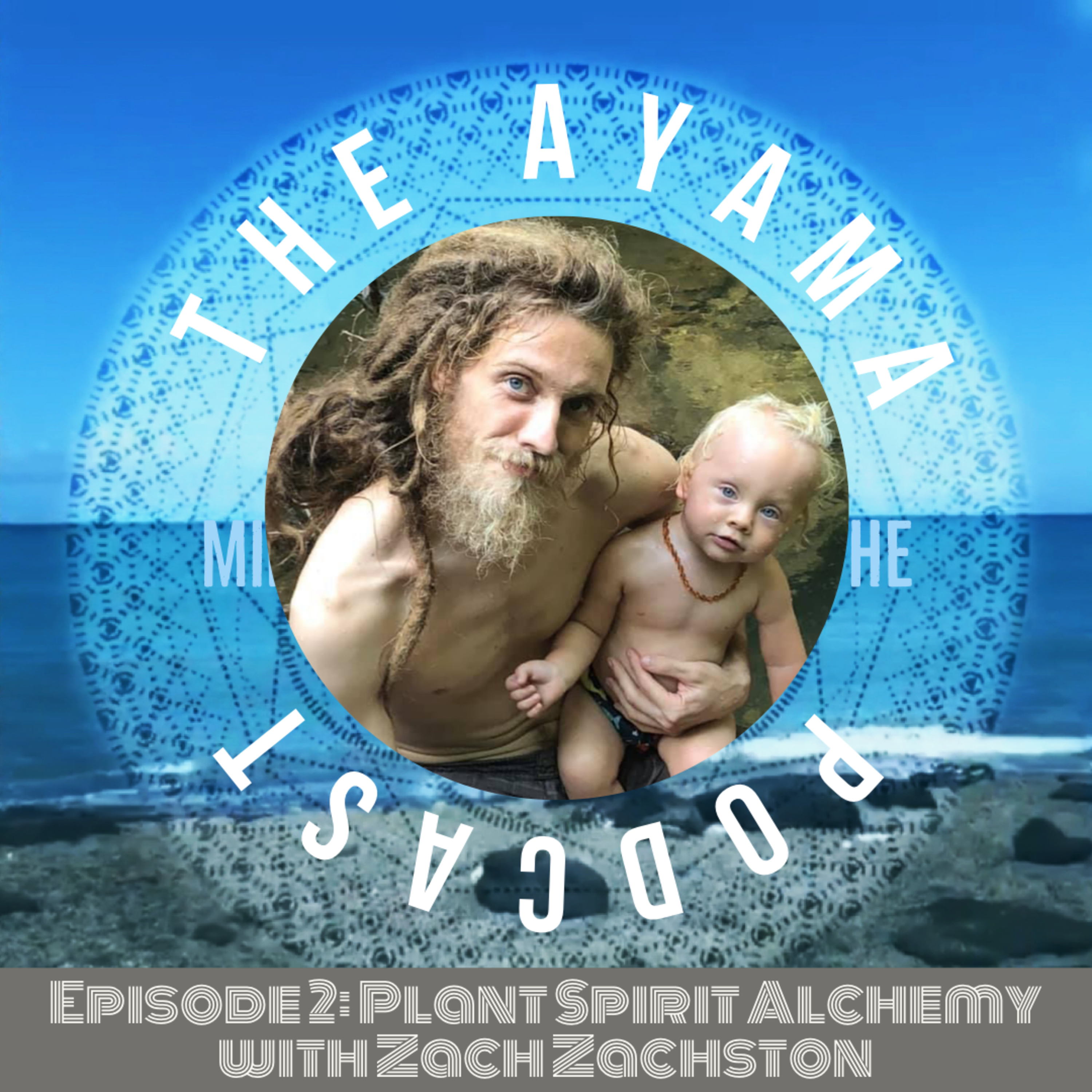 Episode 2: Plant Spirit Alchemy with Zach Zachston episode artwork