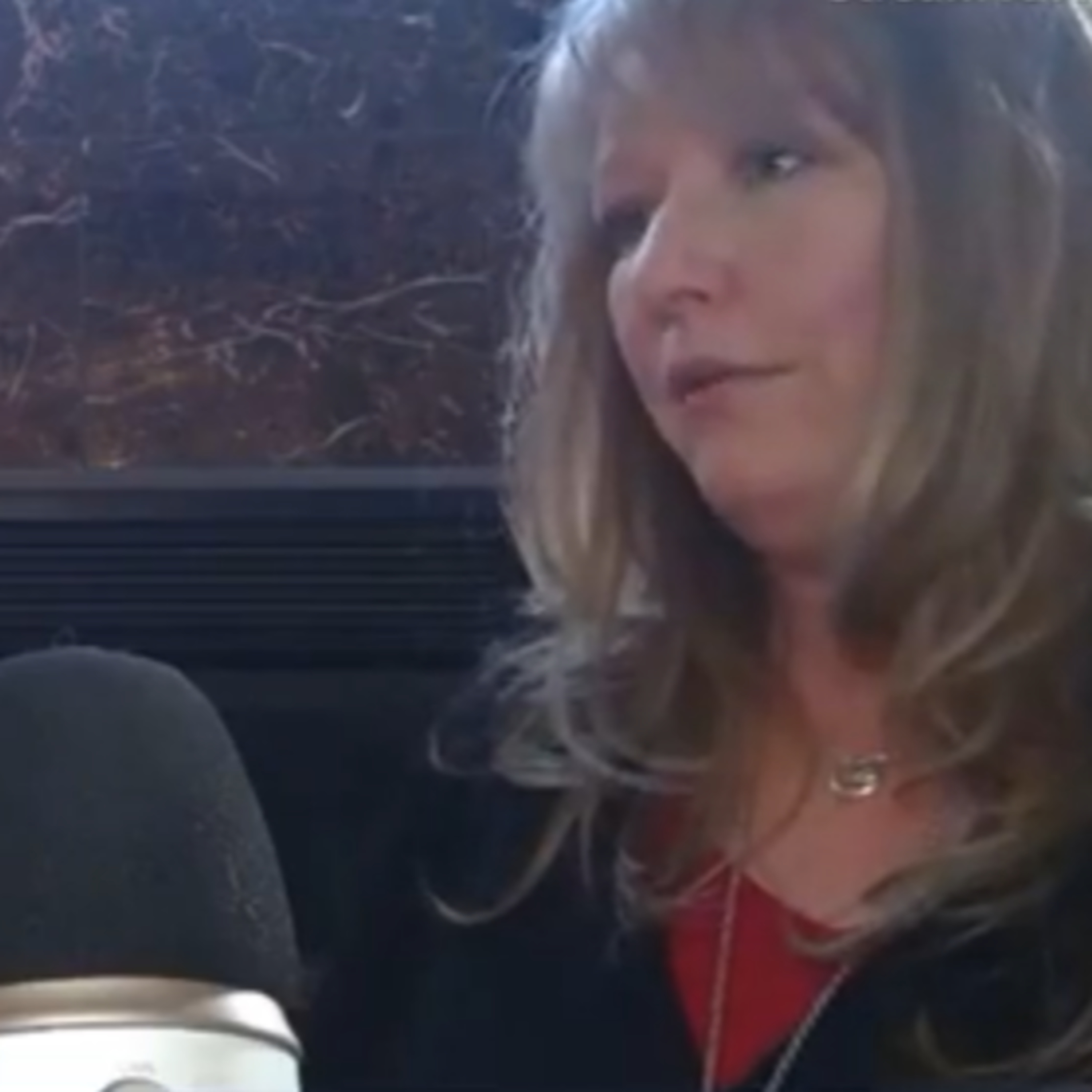 Paula Norton The Kitchen Girl from OTTAWA REFACING episode artwork