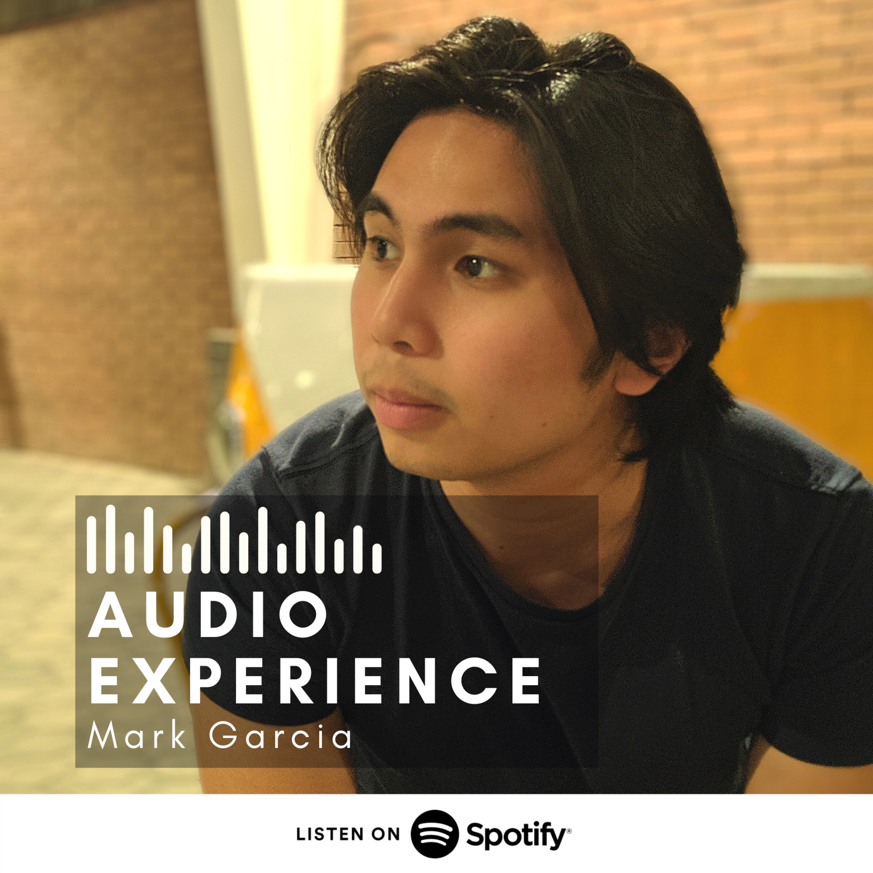 Mark Garcia Audio Experience