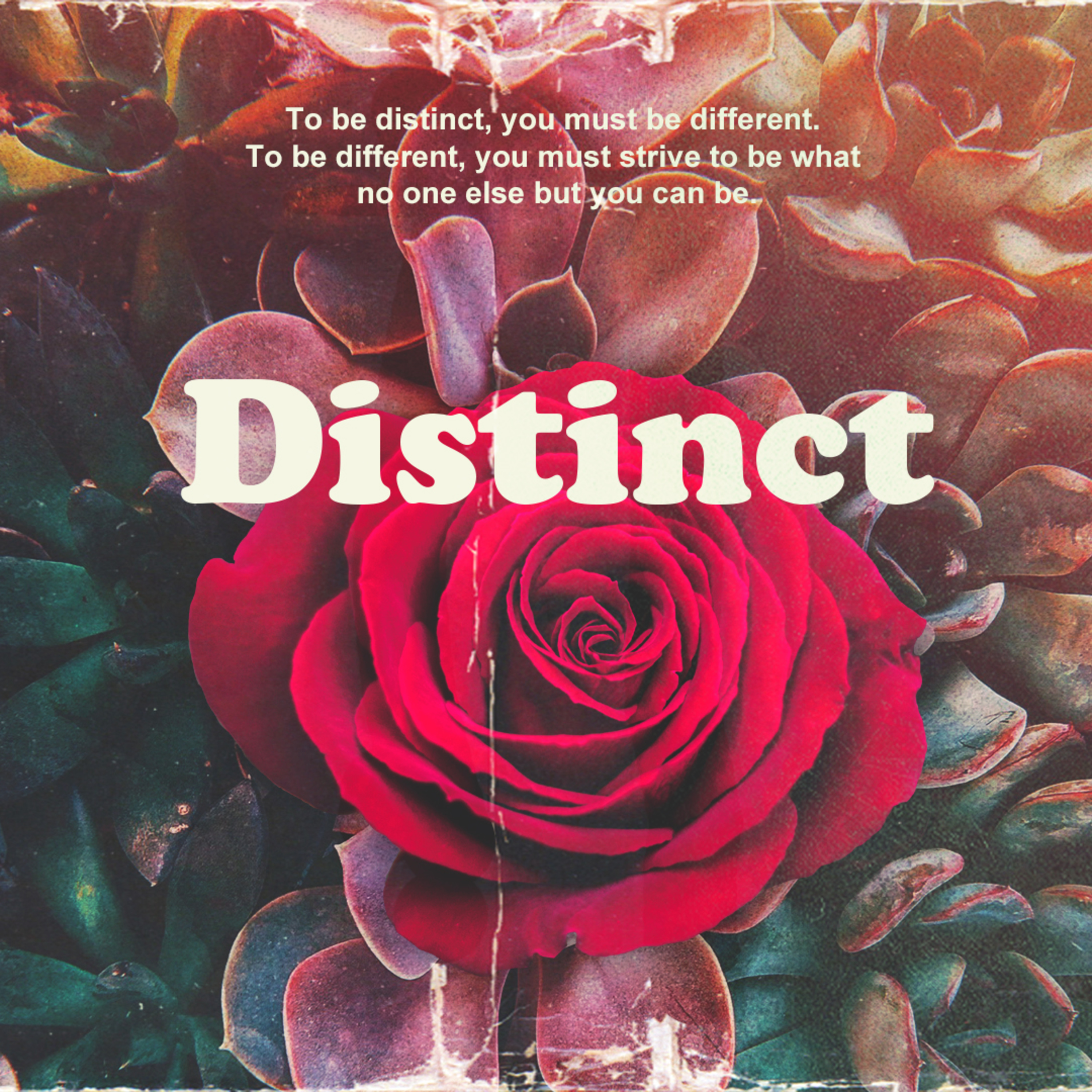 Distinct - October 7 episode artwork