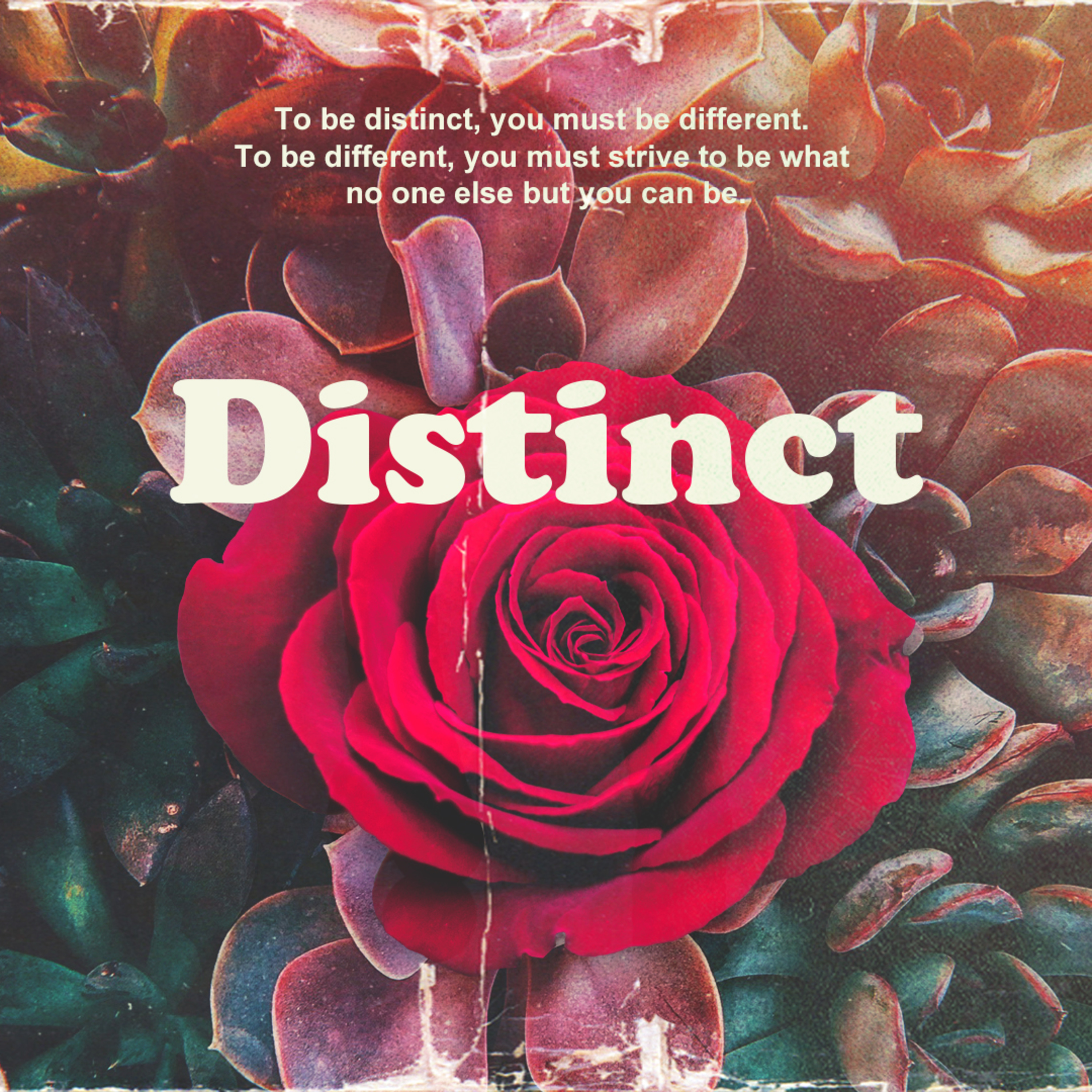 Distinct October 13 episode artwork