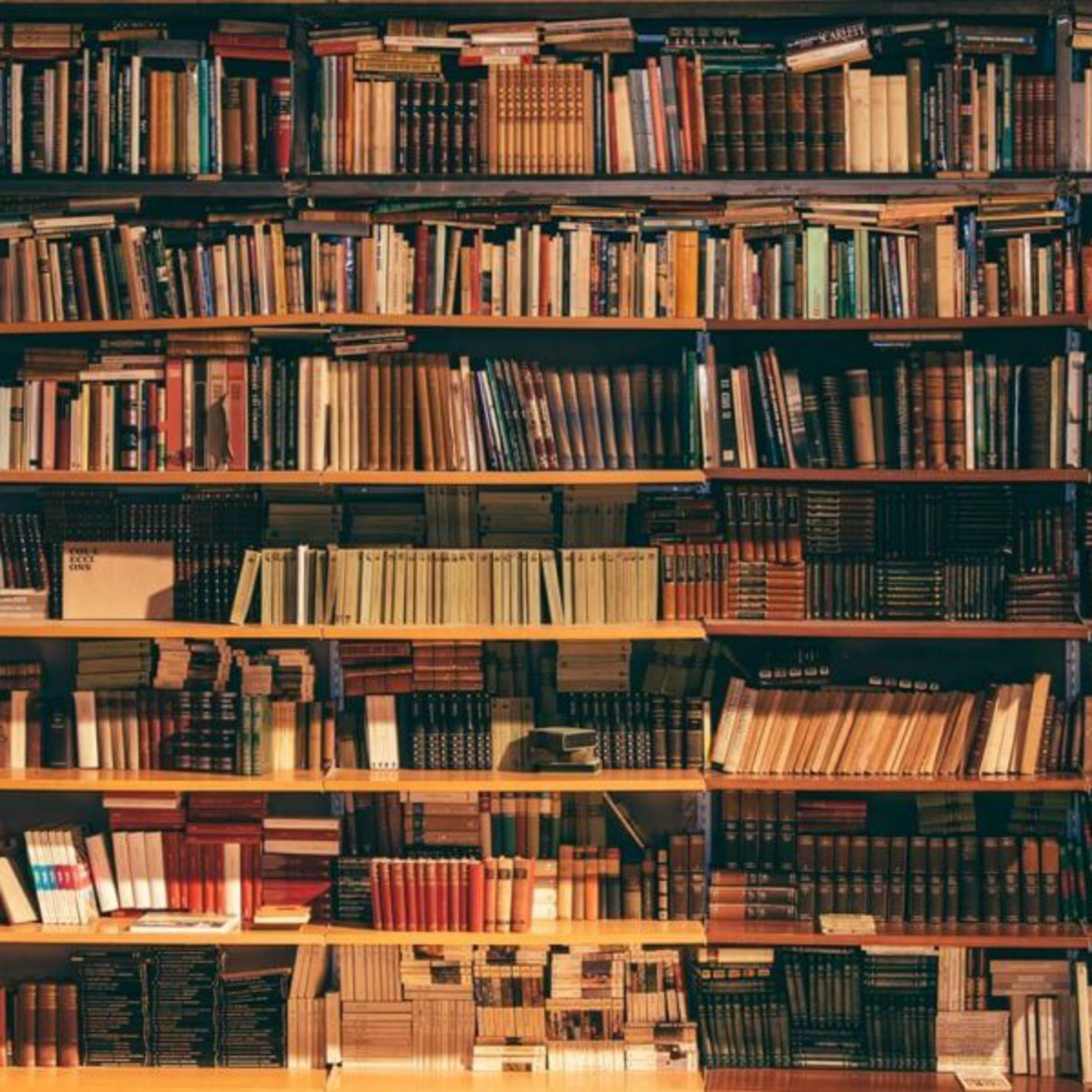 Bibliotecas ajenas