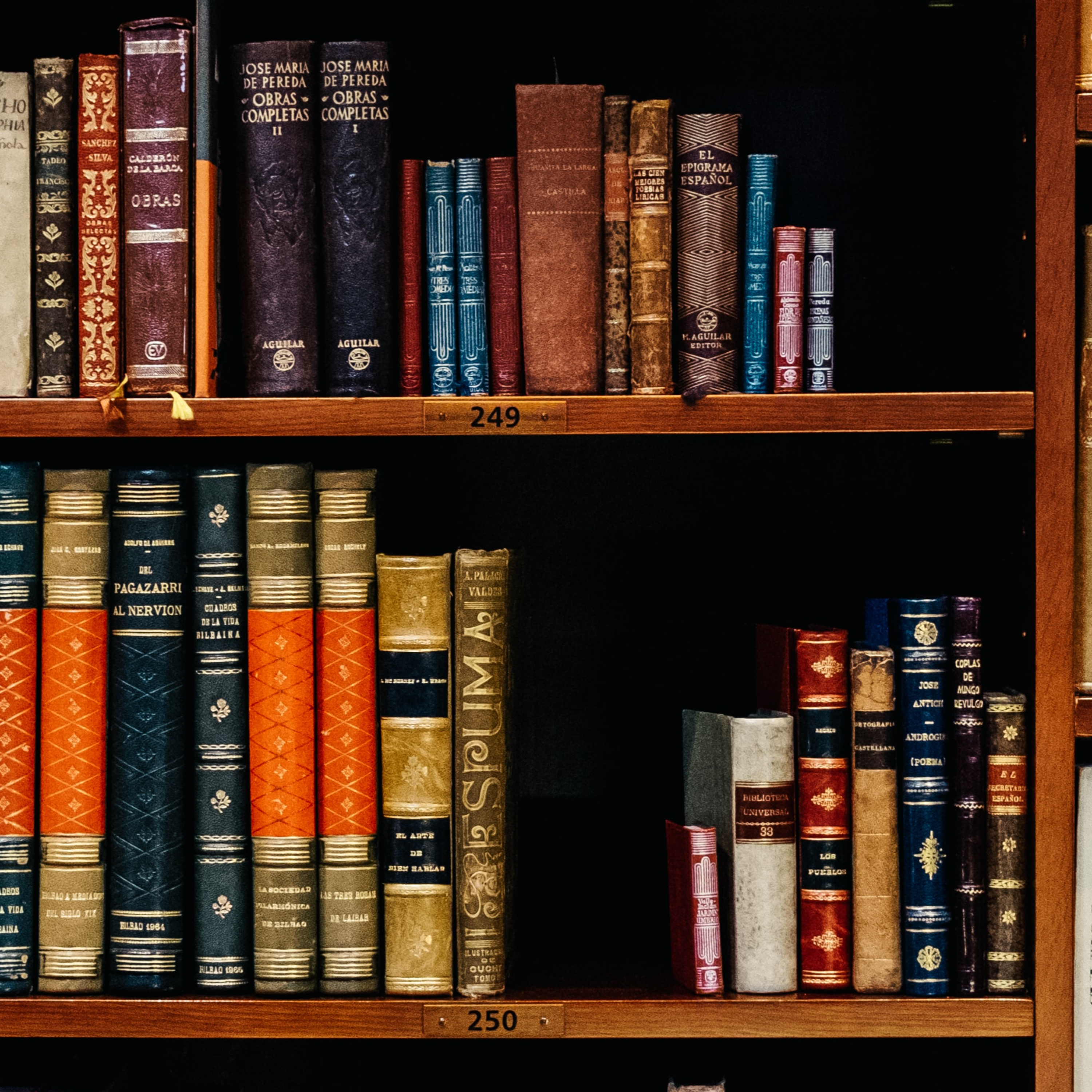 Bibliotecas ajenas