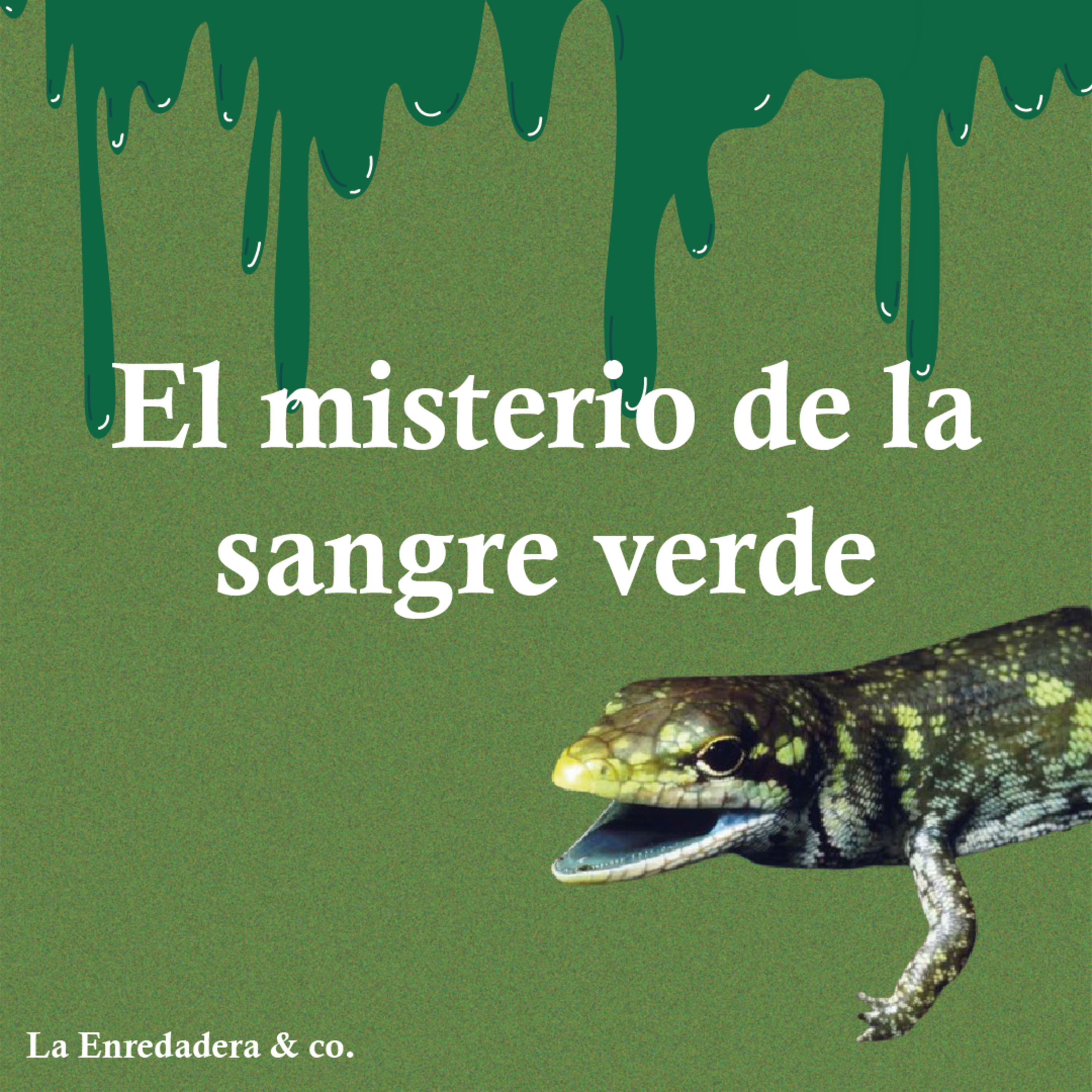 La Enredadera & co.