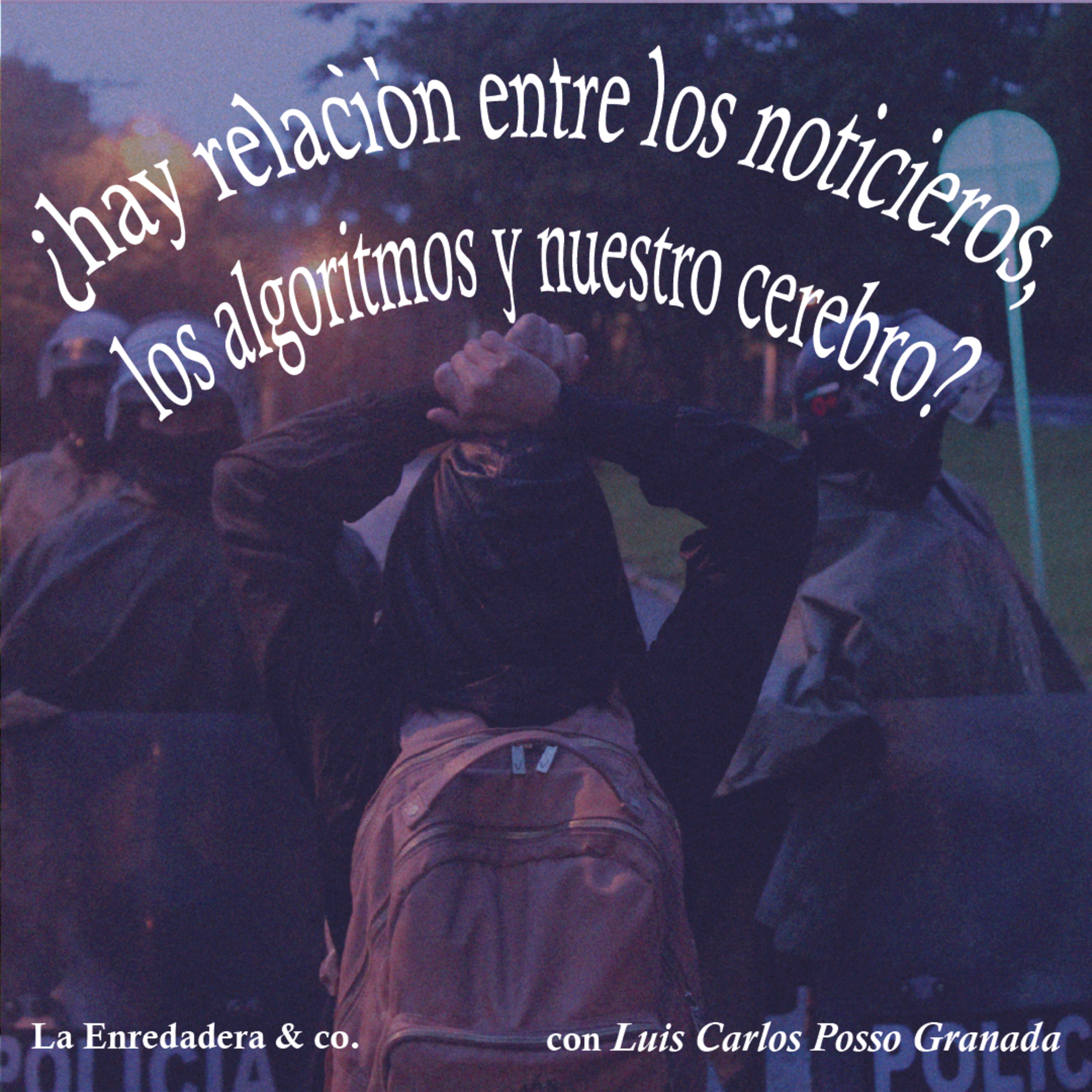 La Enredadera & co.