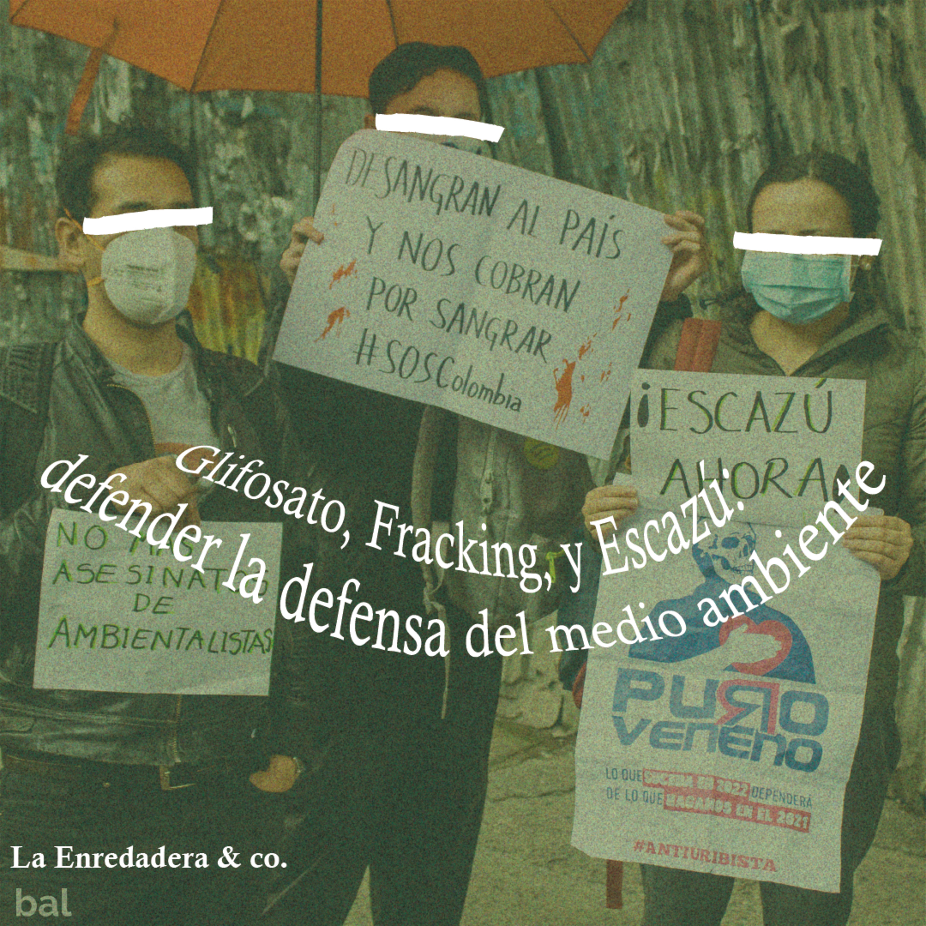La Enredadera & co.