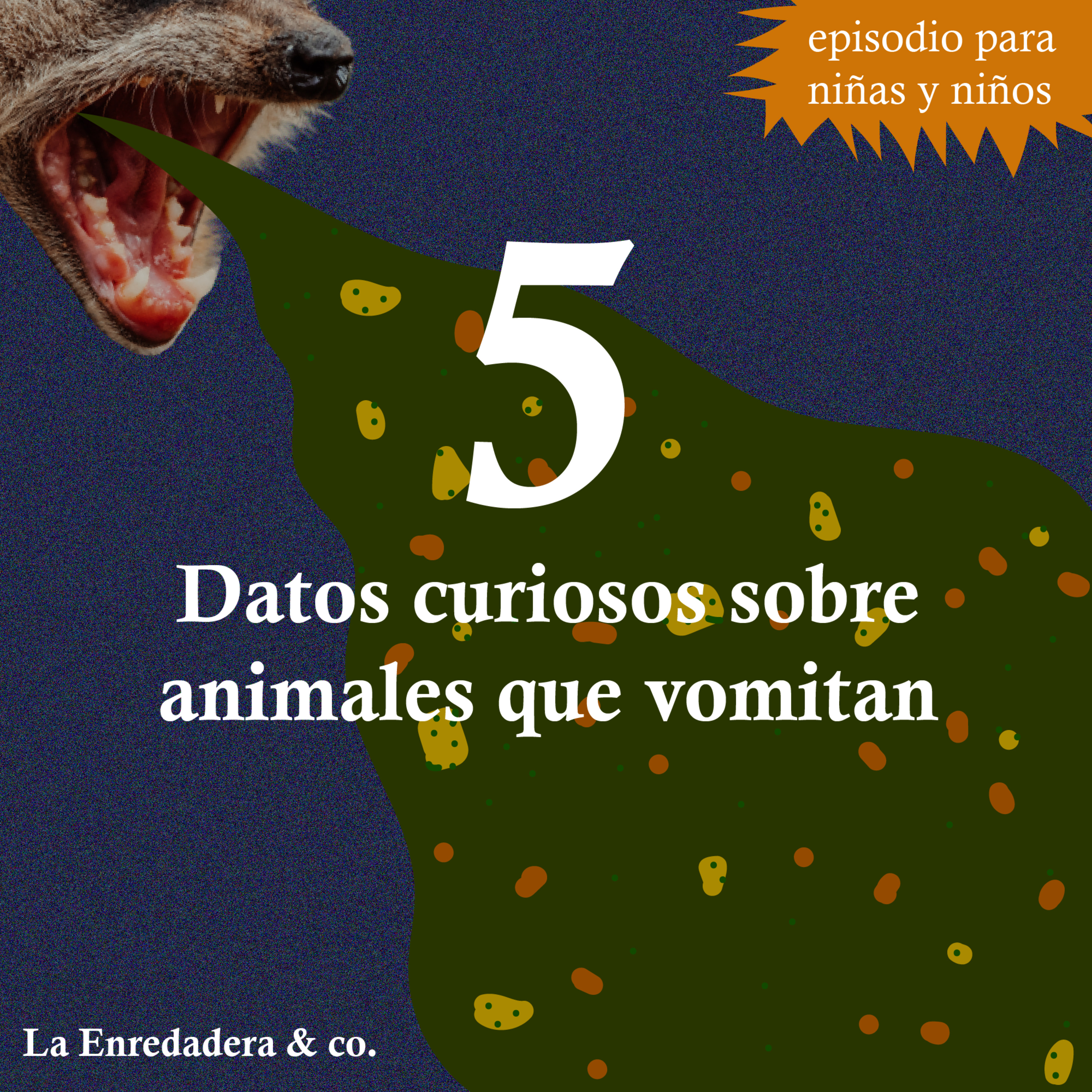 La Enredadera & co.