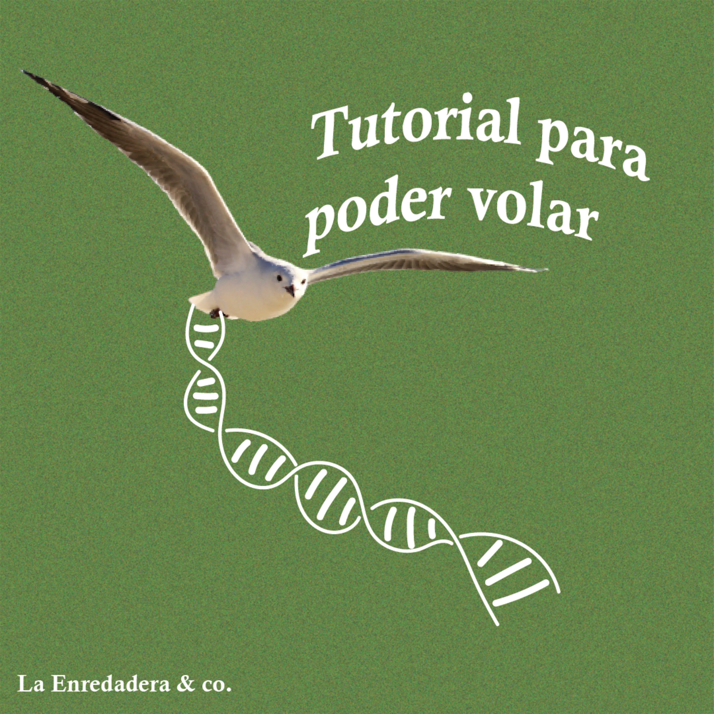 La Enredadera & co.
