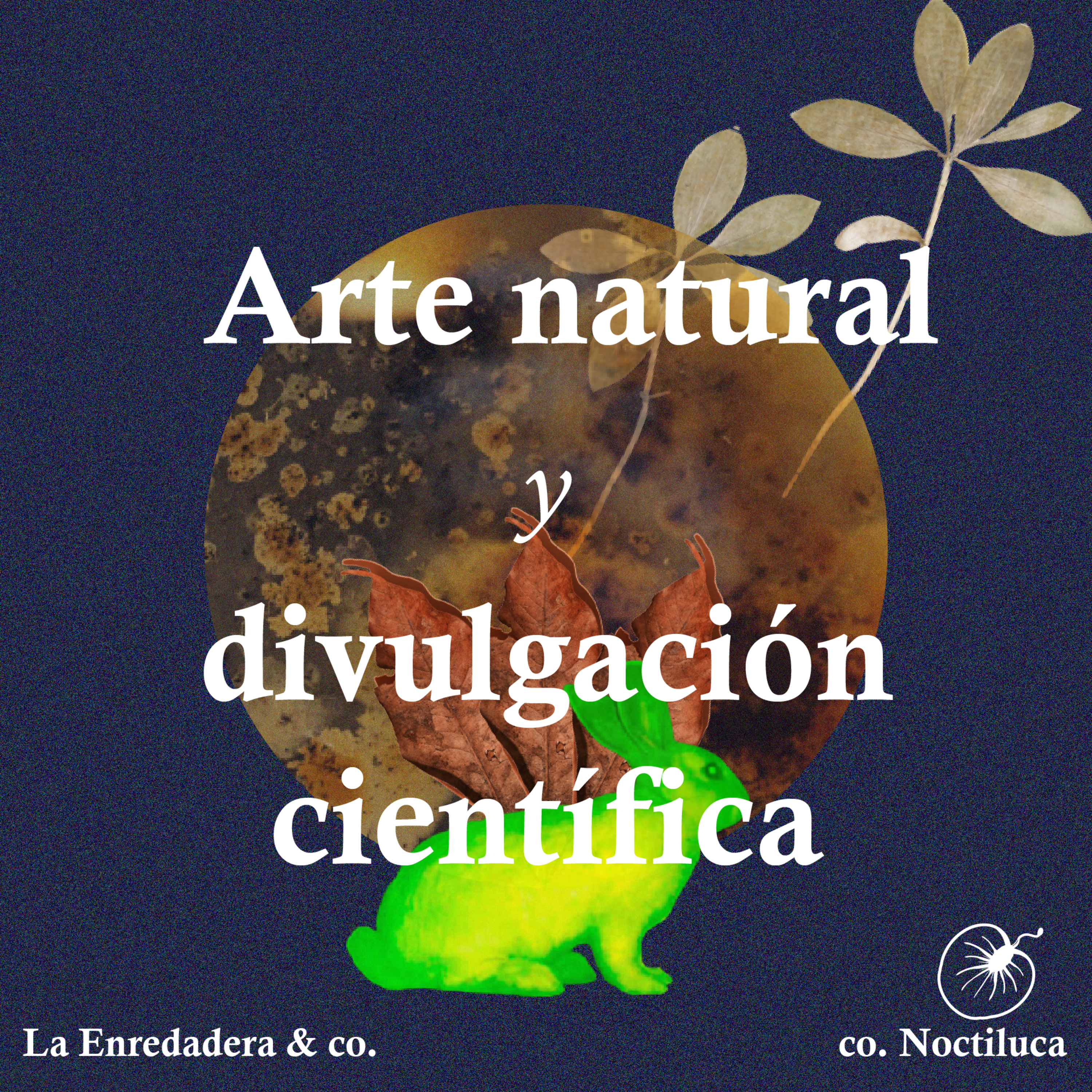 La Enredadera & co.