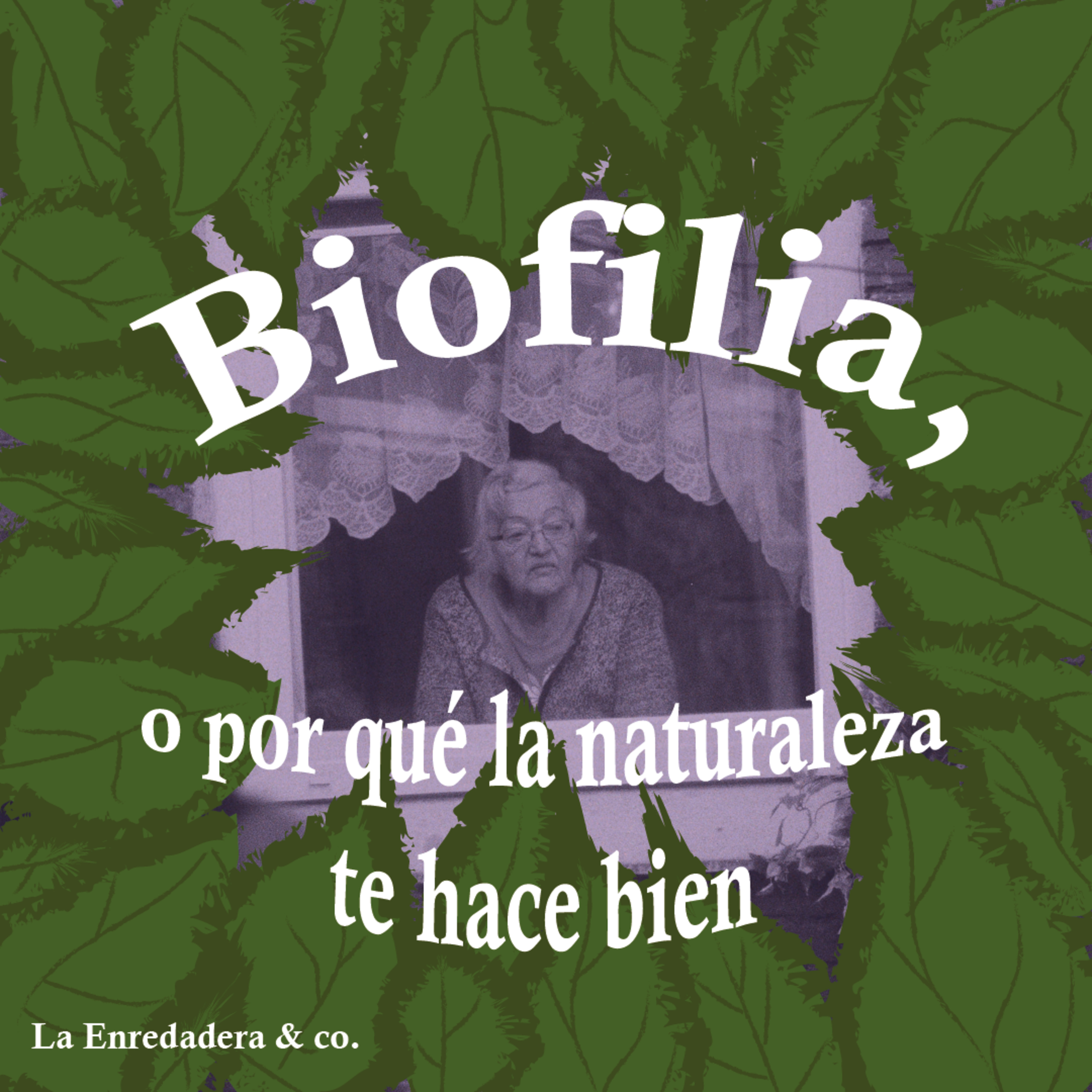 La Enredadera & co.