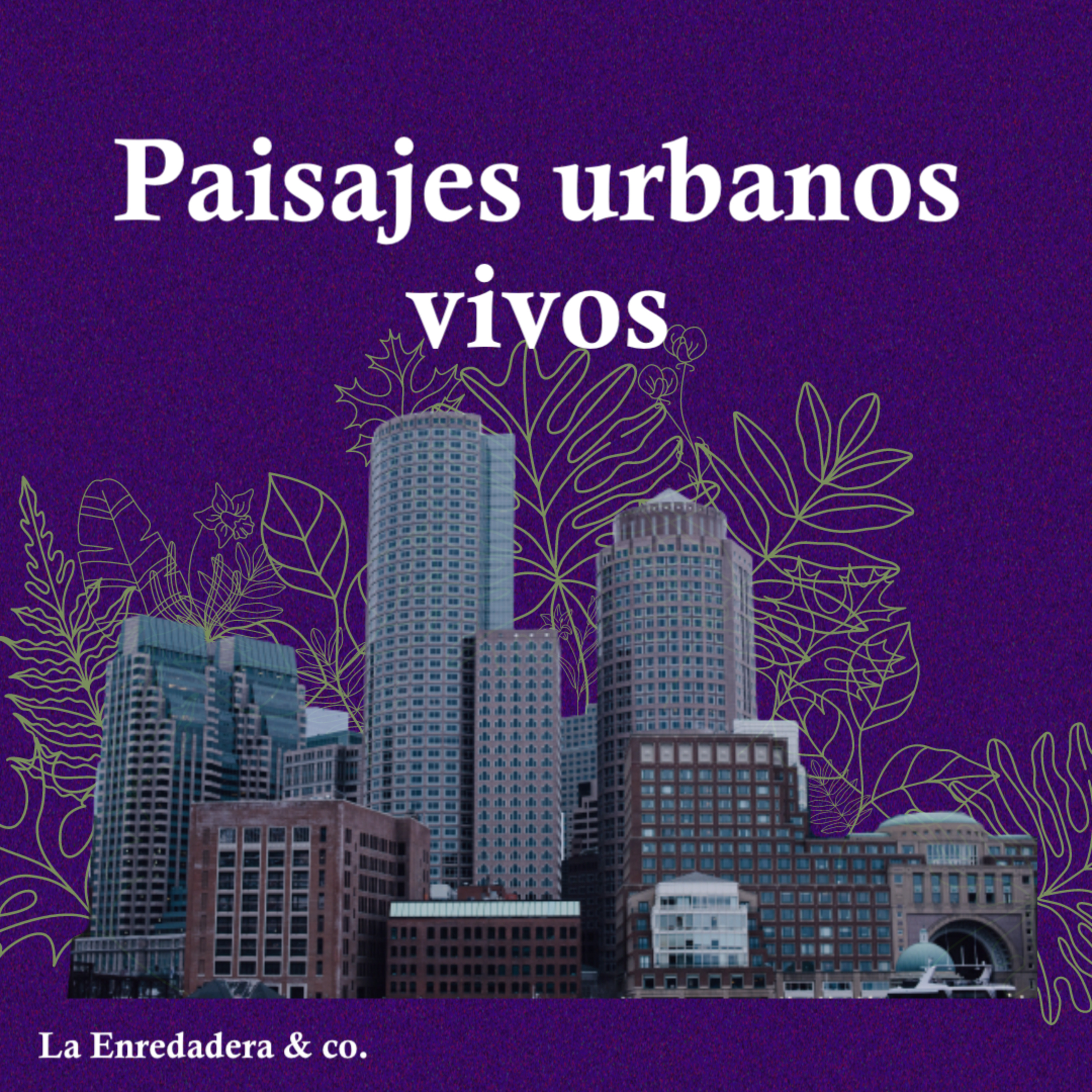 La Enredadera & co.