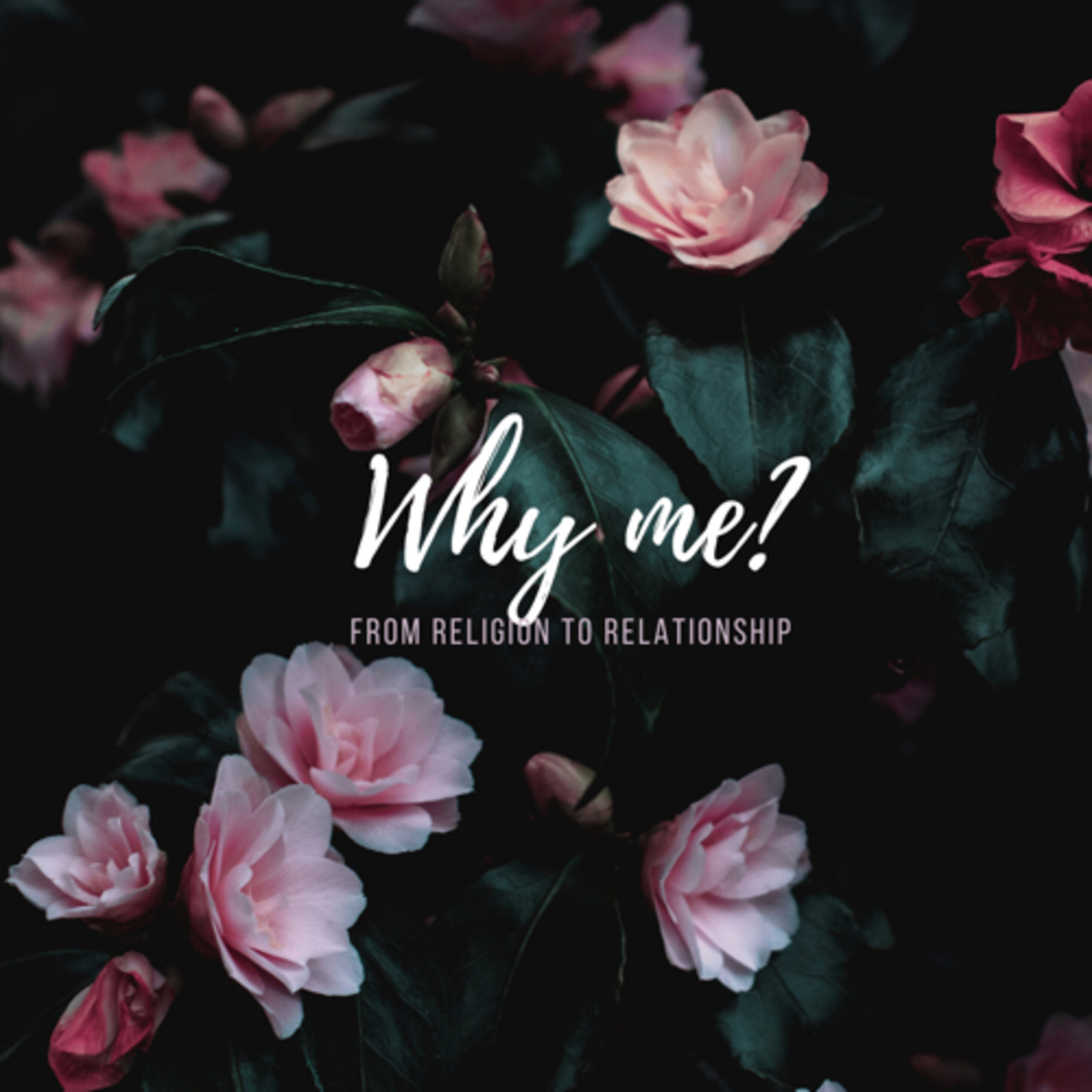 Why Me?  episode artwork