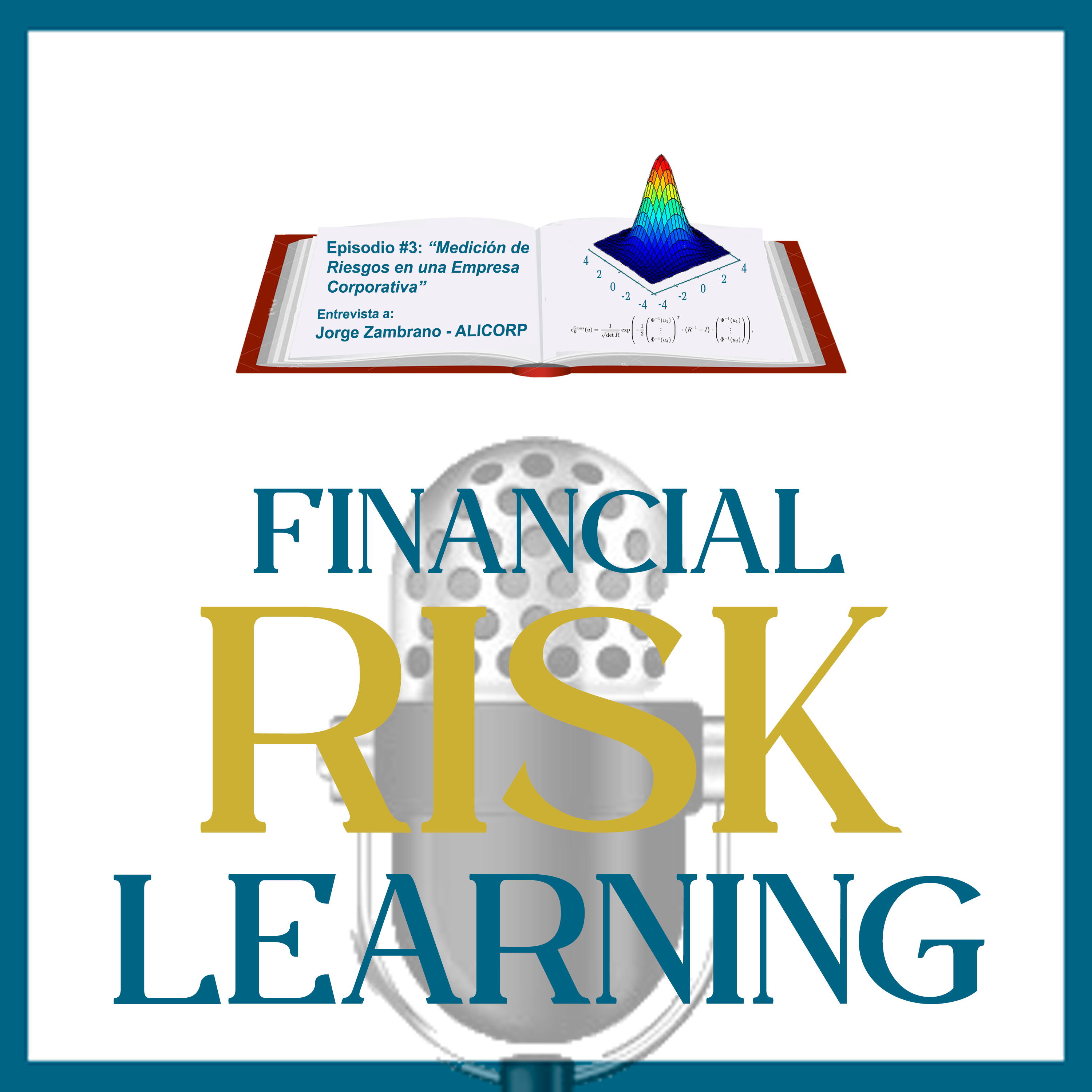 Financial Risk Learning