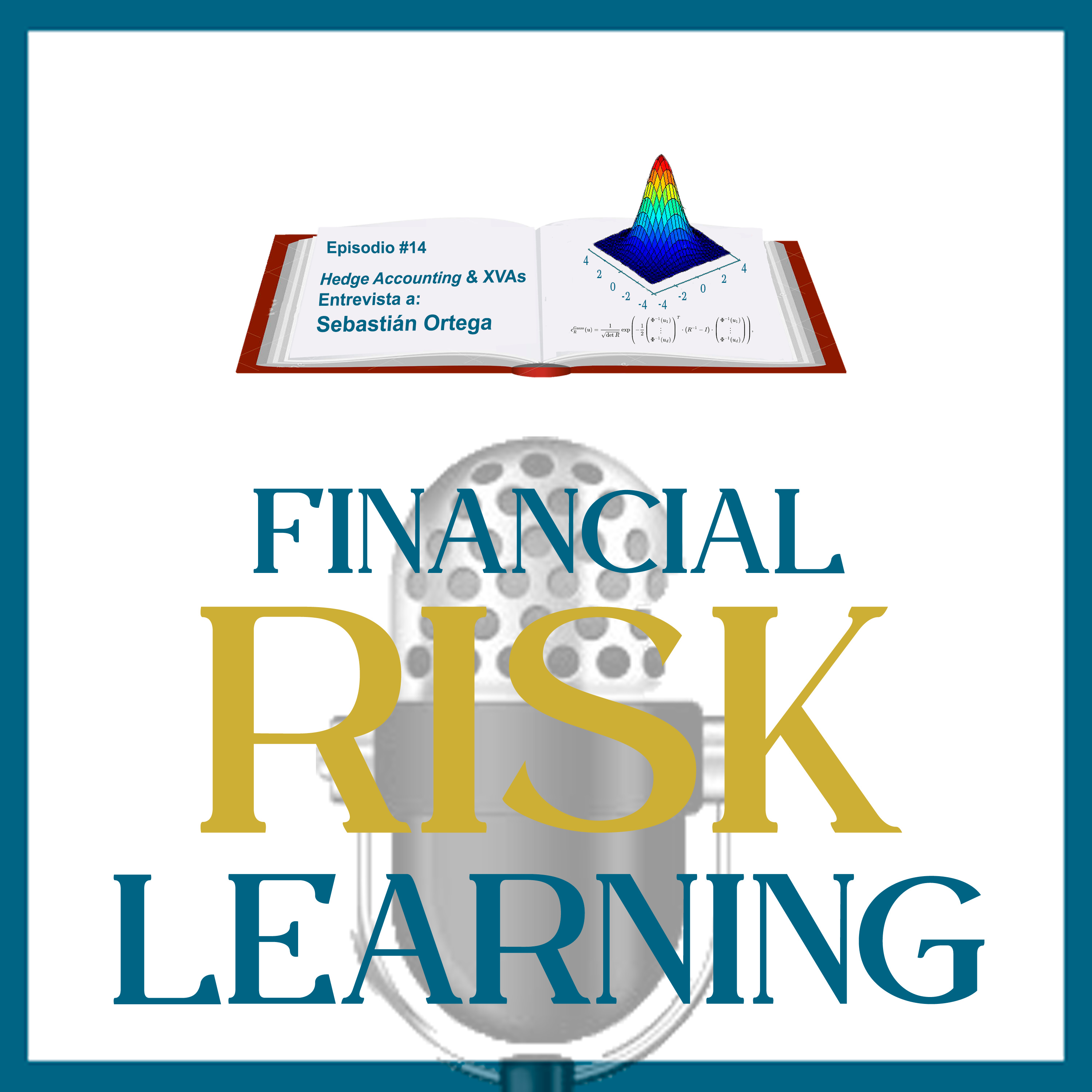 Financial Risk Learning