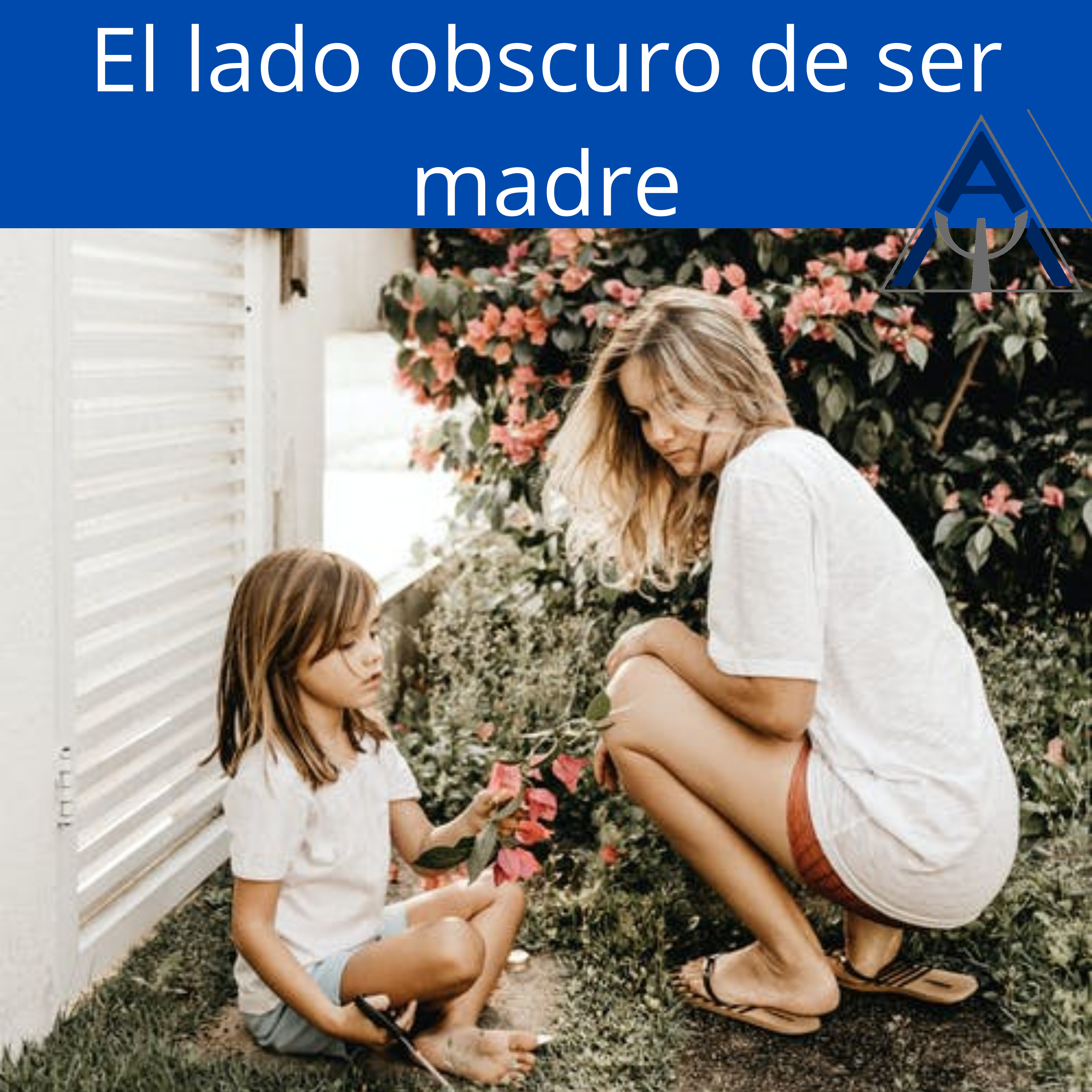 Psicología En La Vida Diaria