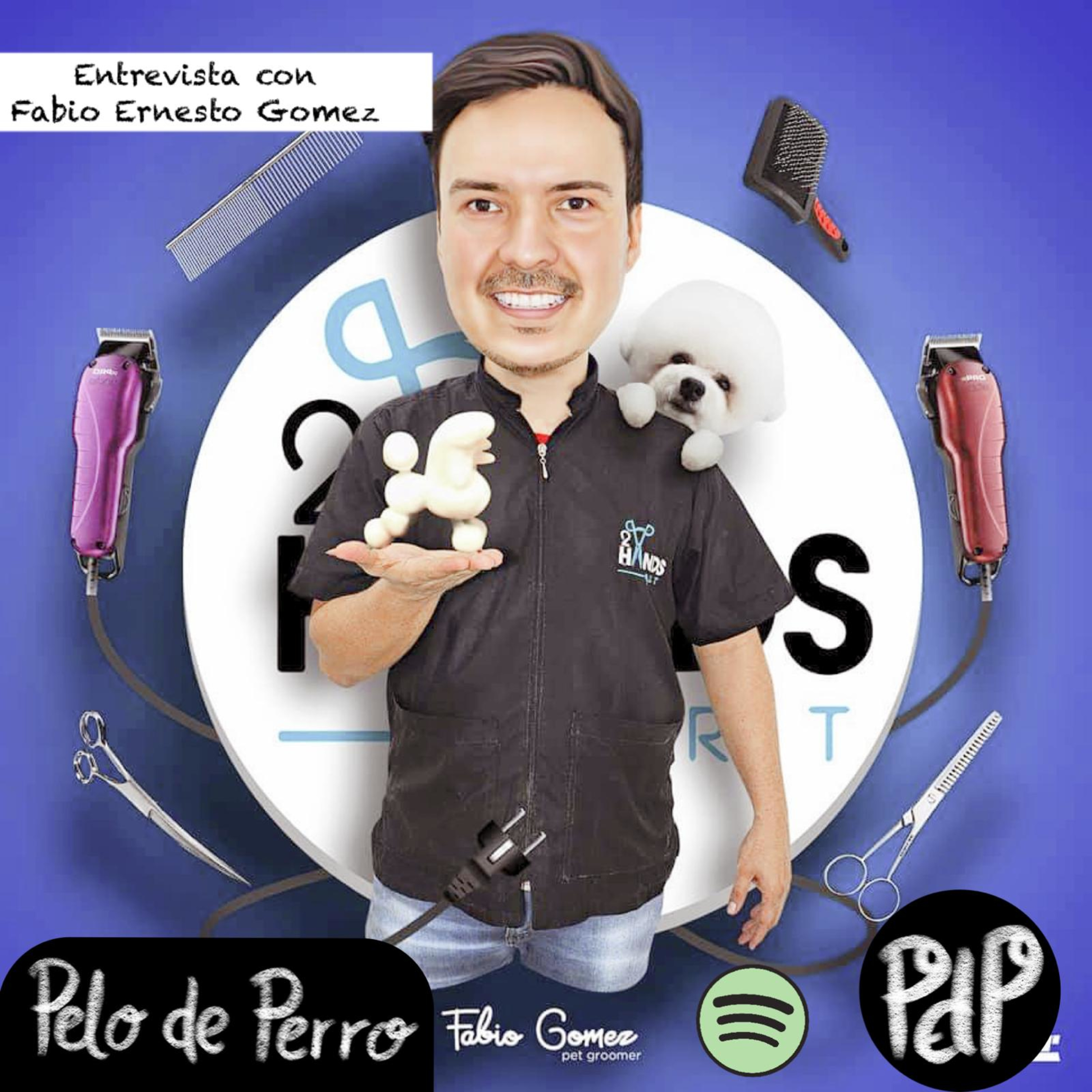 PELO DE PERRO