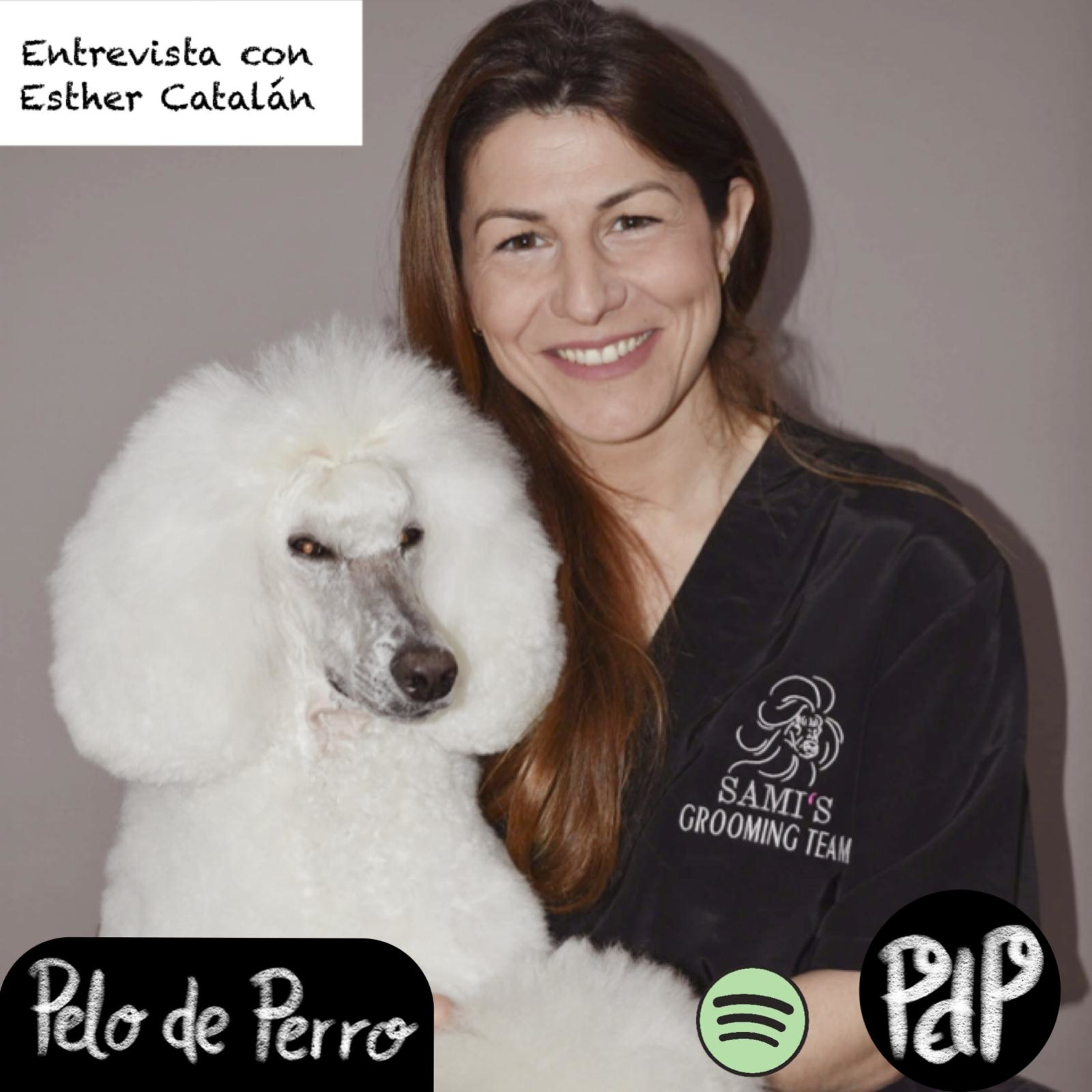PELO DE PERRO