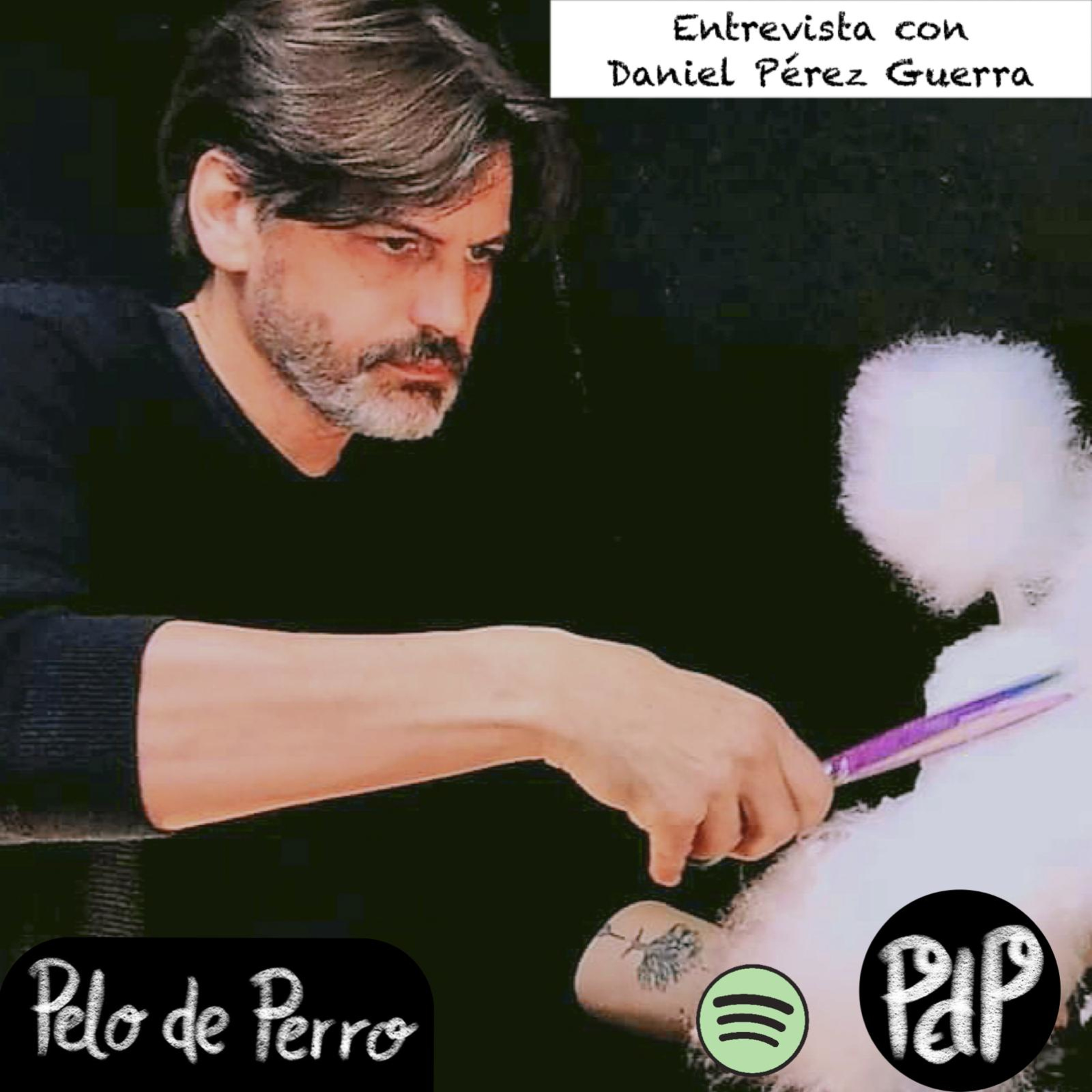 PELO DE PERRO