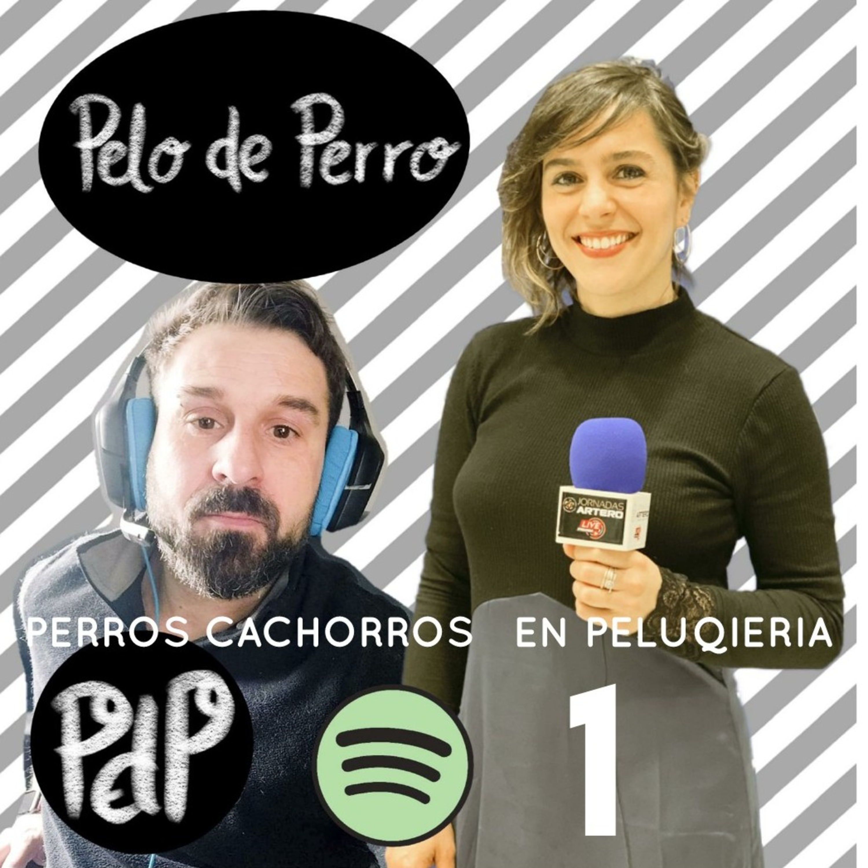 PELO DE PERRO