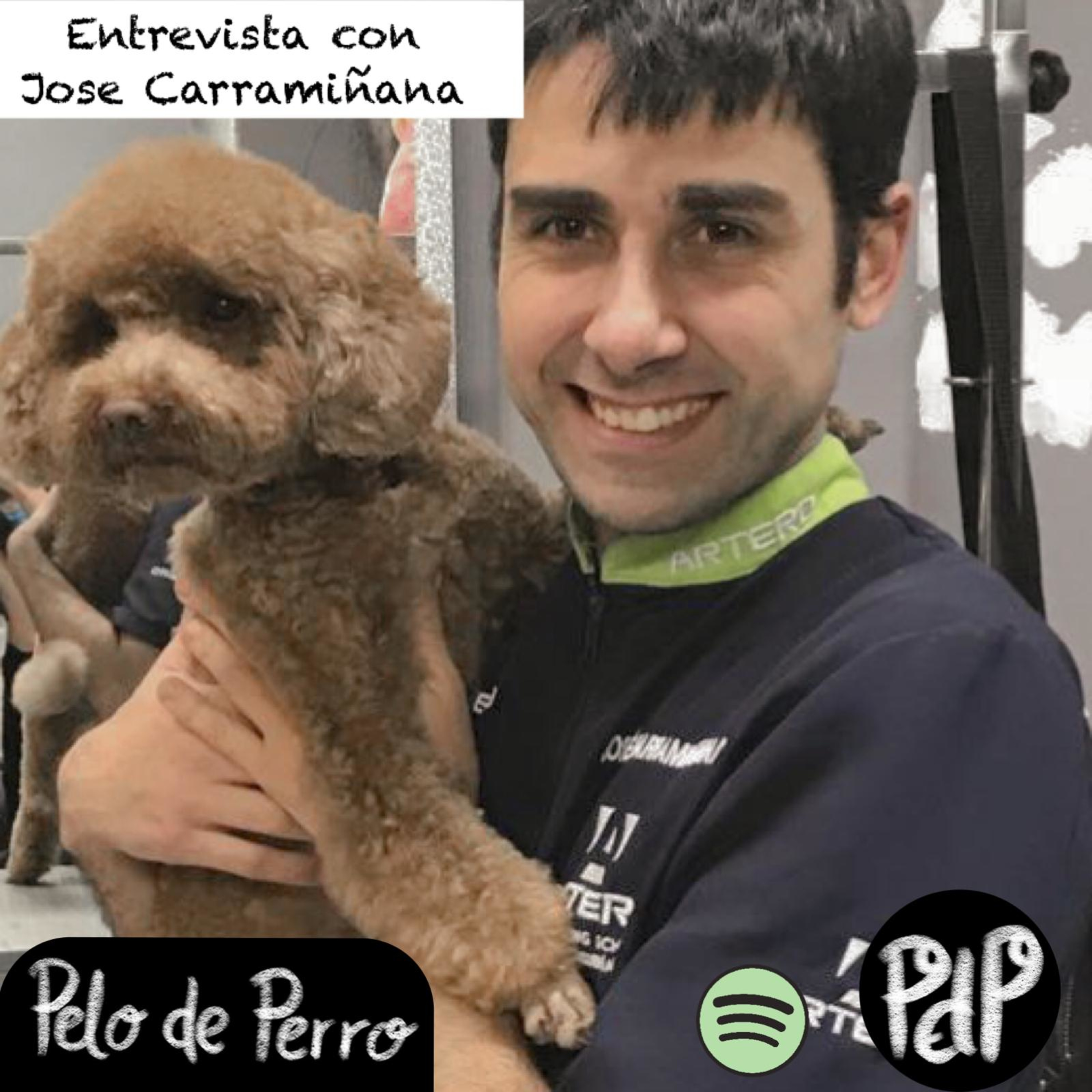 PELO DE PERRO