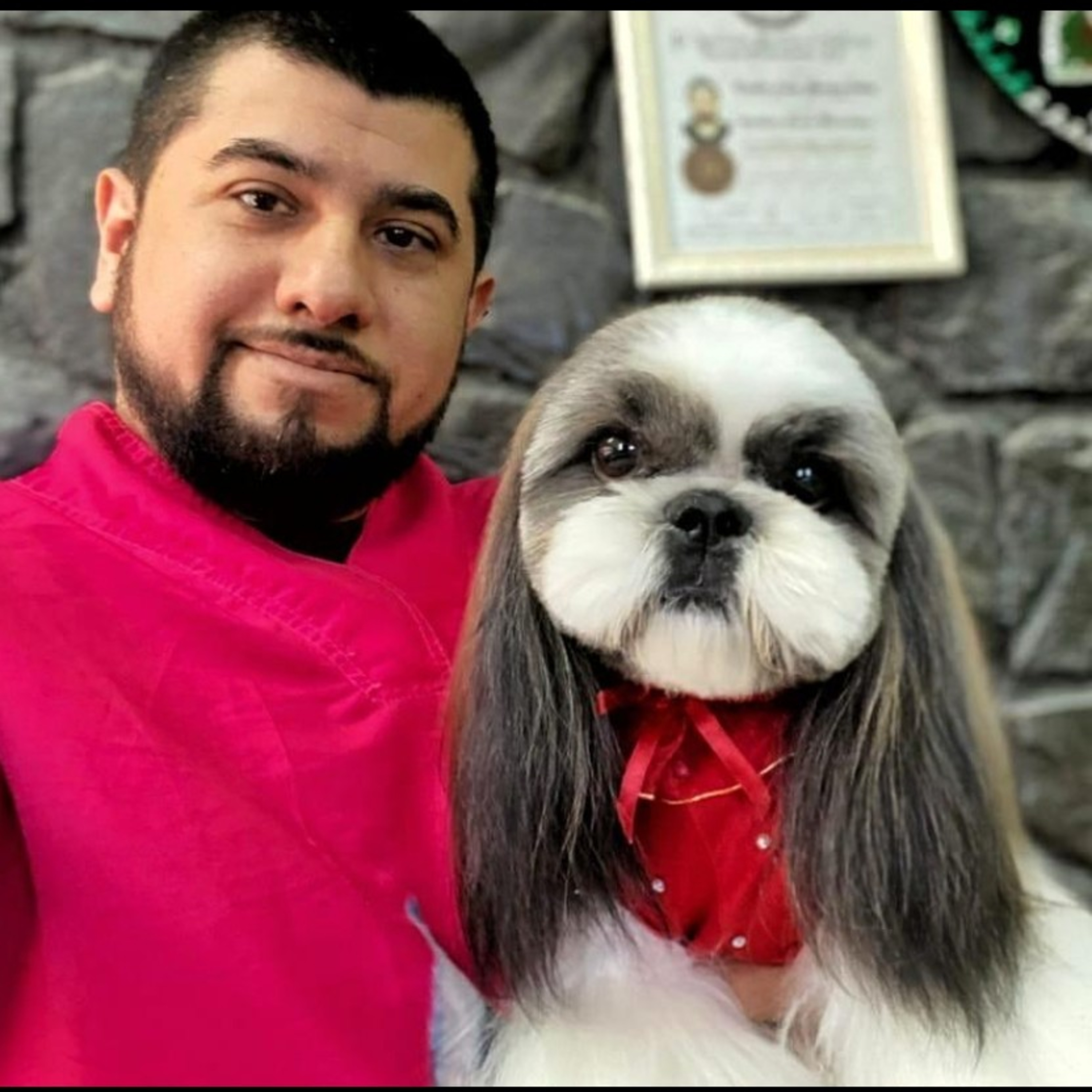 PELO DE PERRO