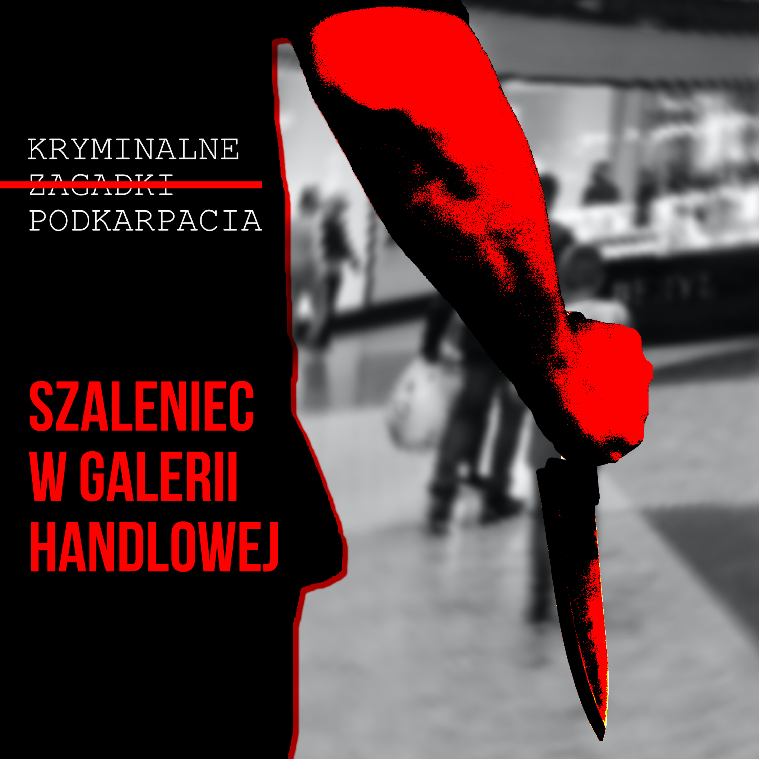 Kryminalne Zagadki Podkarpacia