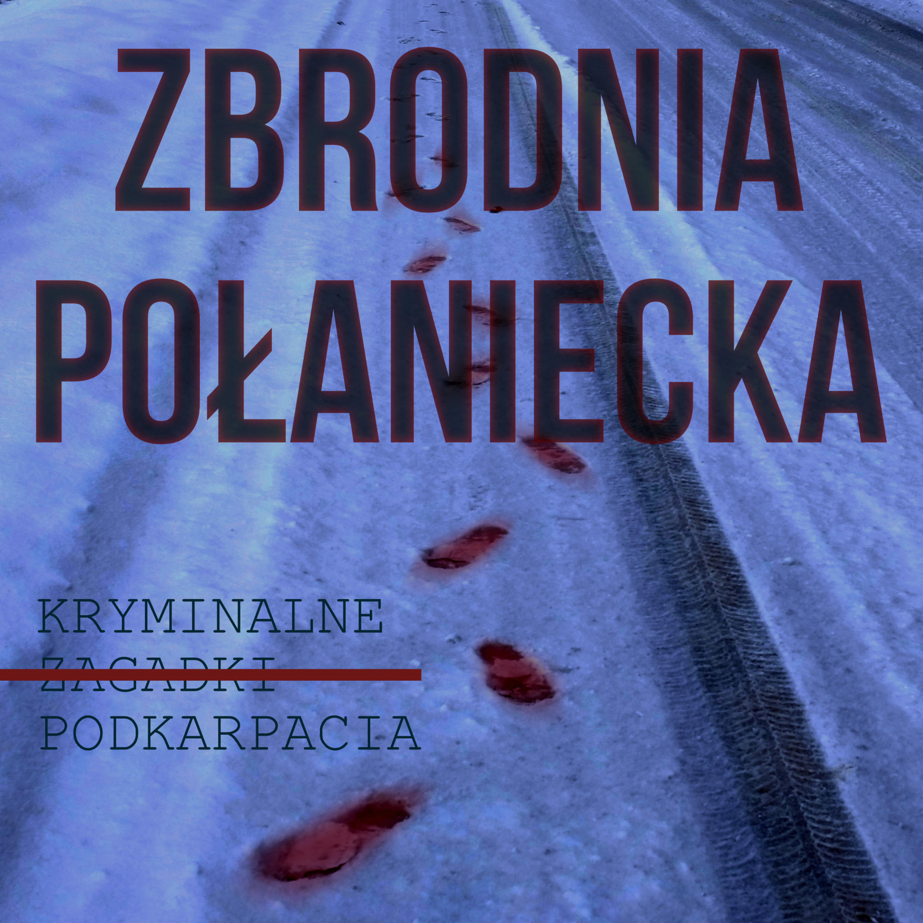 Kryminalne Zagadki Podkarpacia