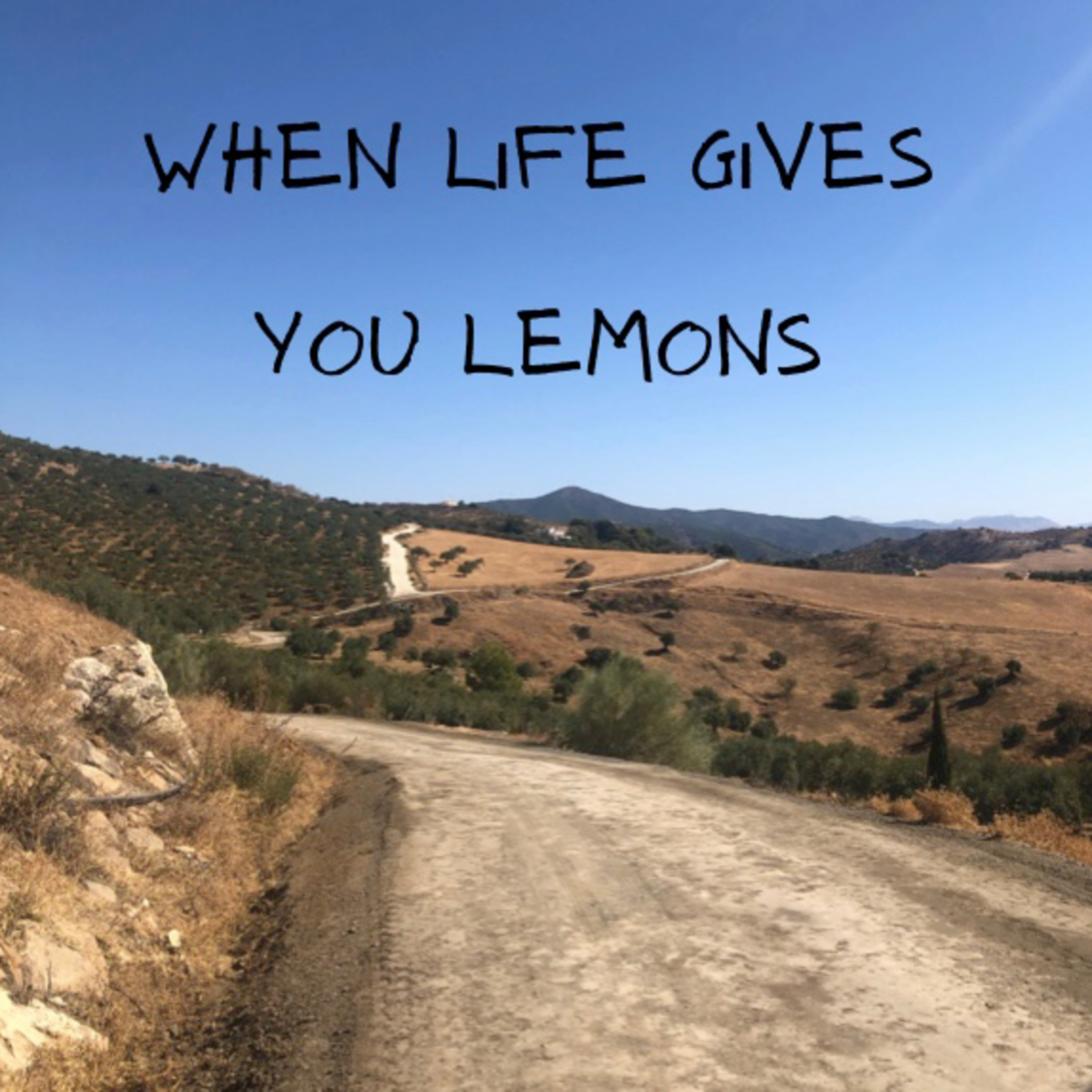 When Life Gives You Lemons