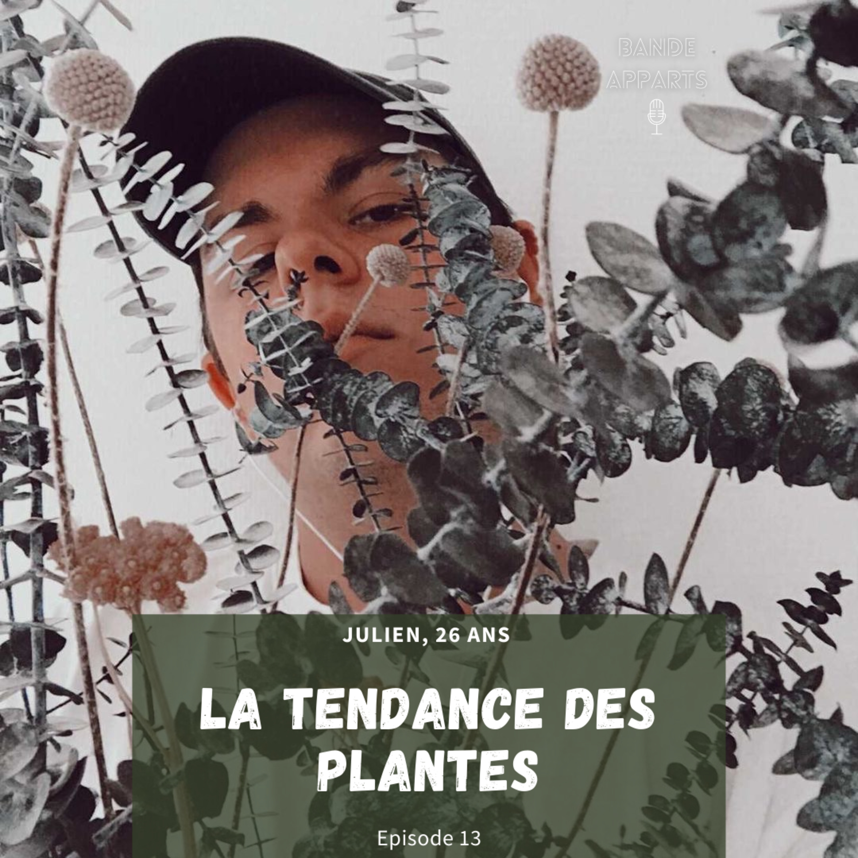 Bande Apparts