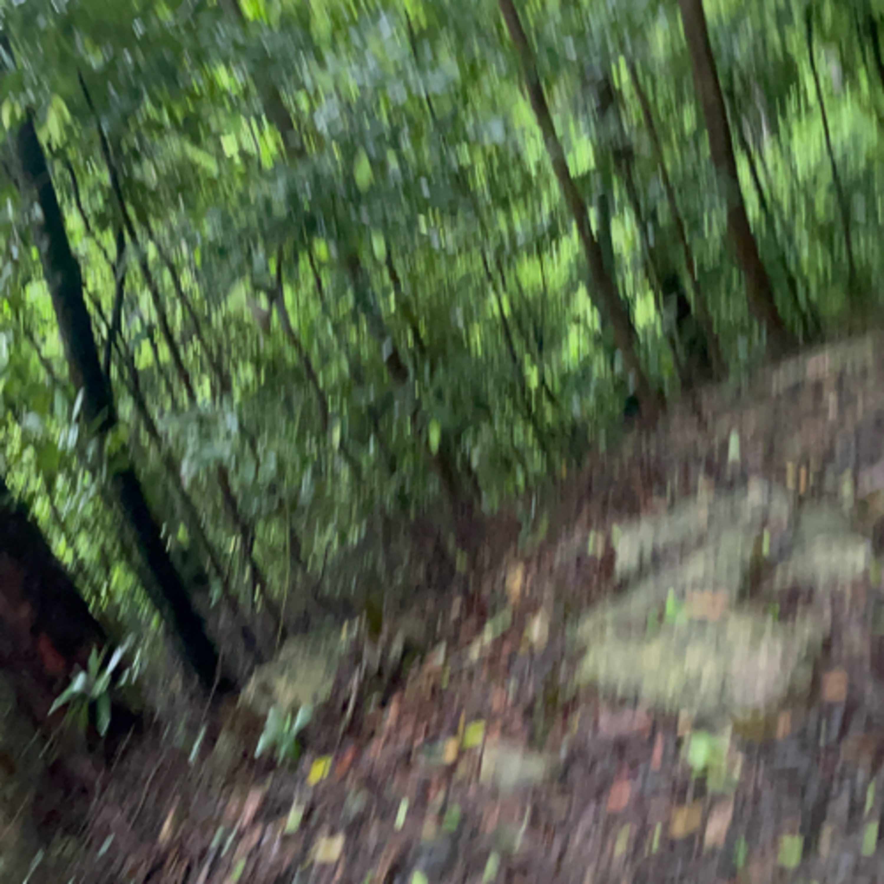 The Great Hong Kong Hike Part 3 episode artwork