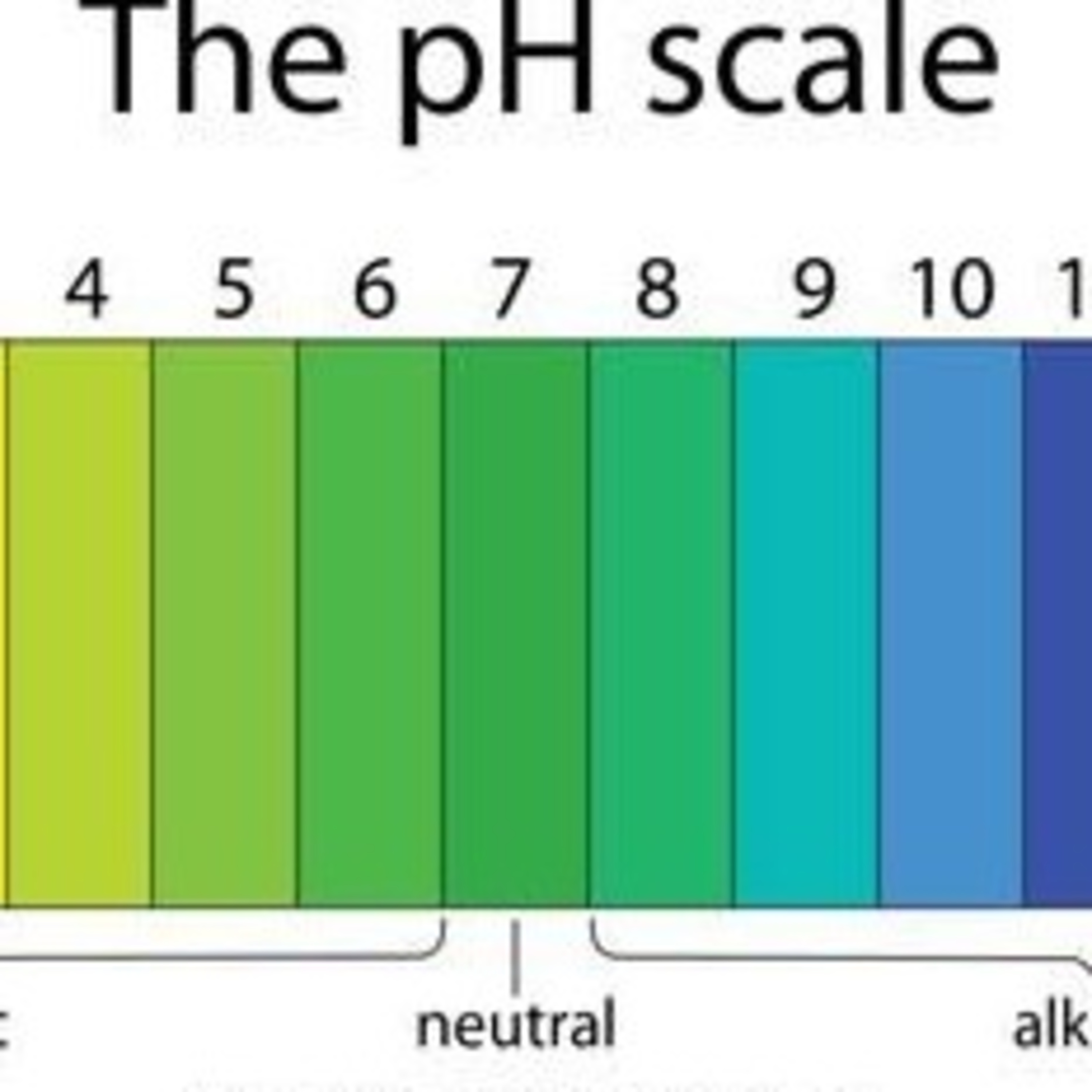 Emotional ph 🤓 episode artwork