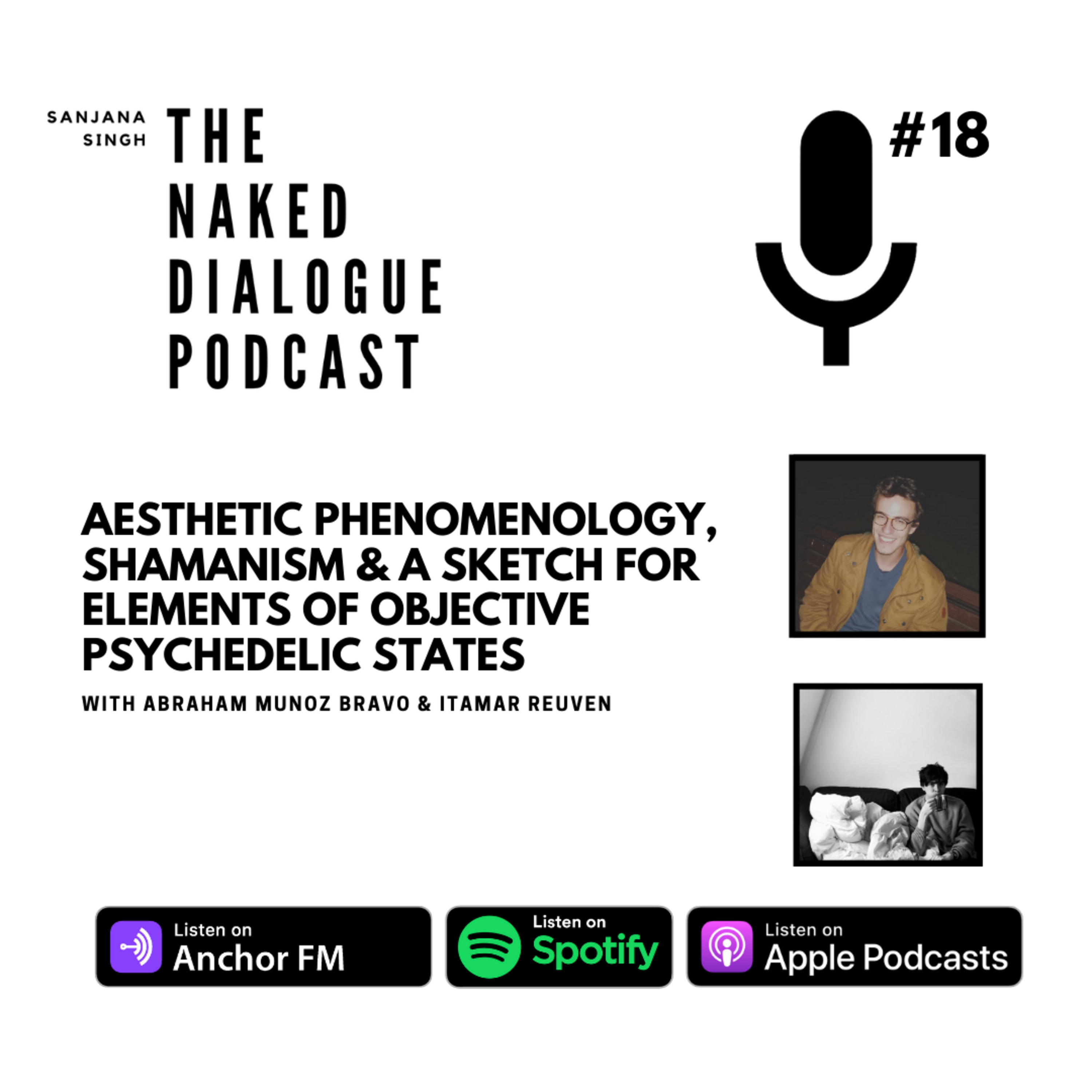 The Naked Dialogue