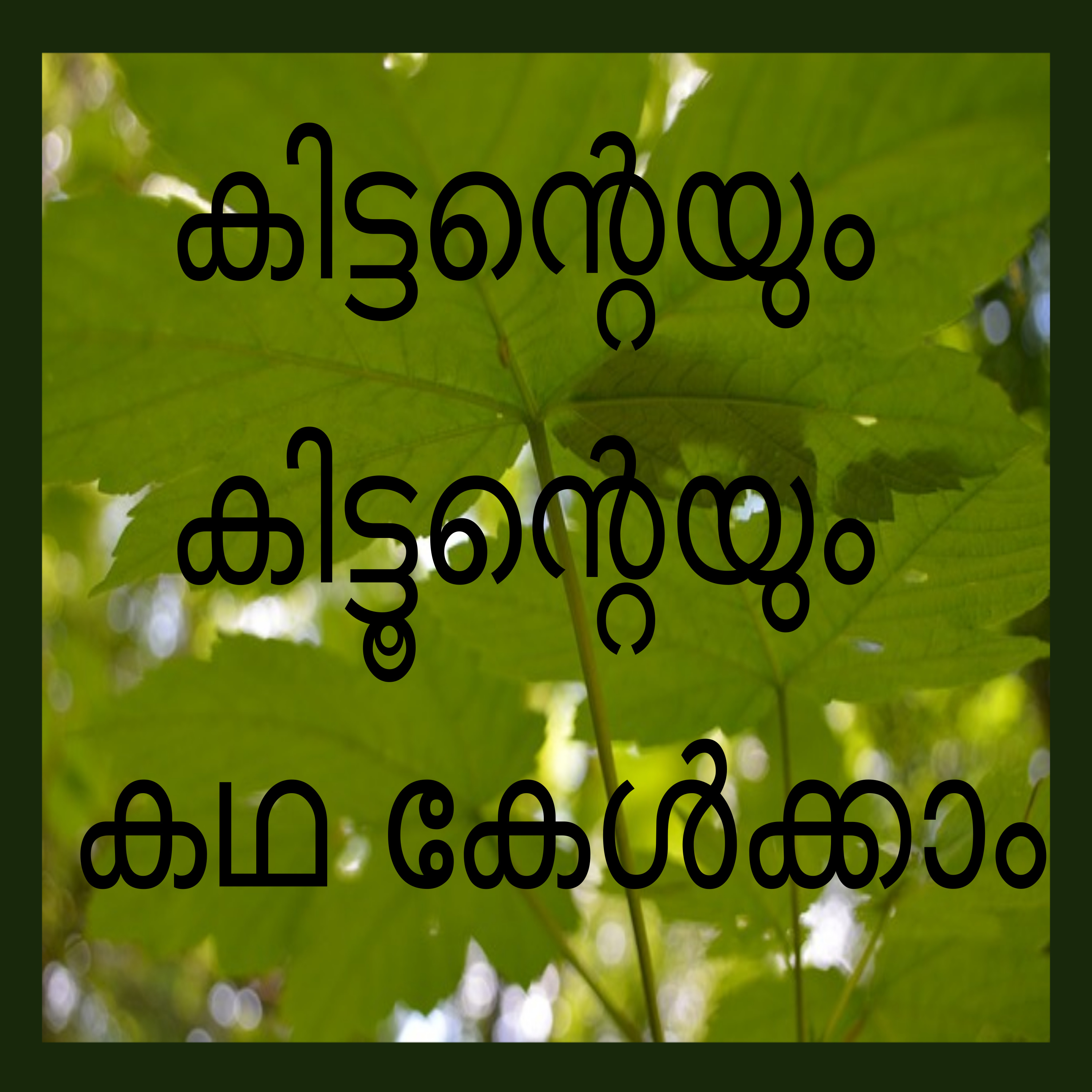 Story of Kittu and Kittan-A story in Malayalam episode artwork