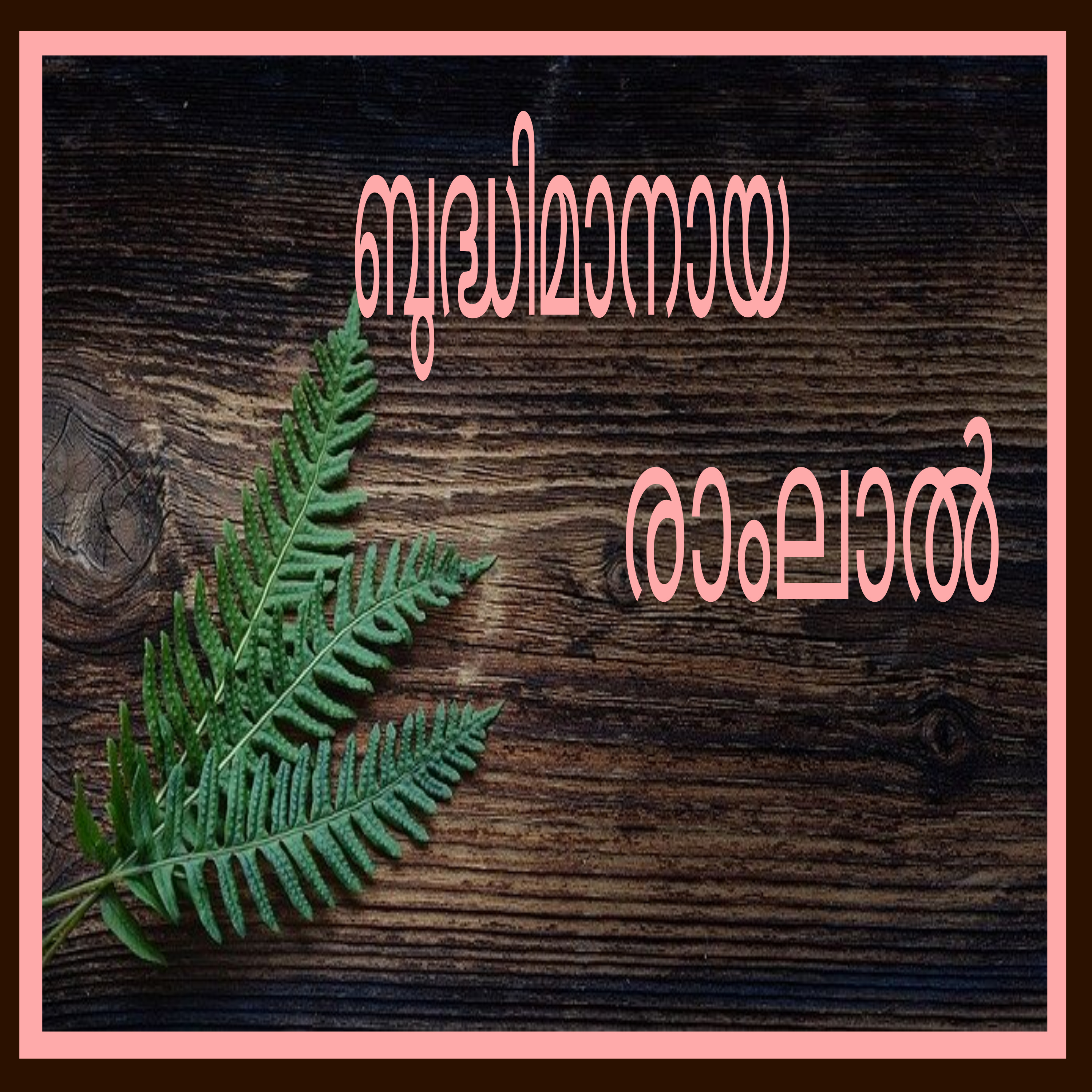Ramlal the Savior- A story in Malayalam episode artwork