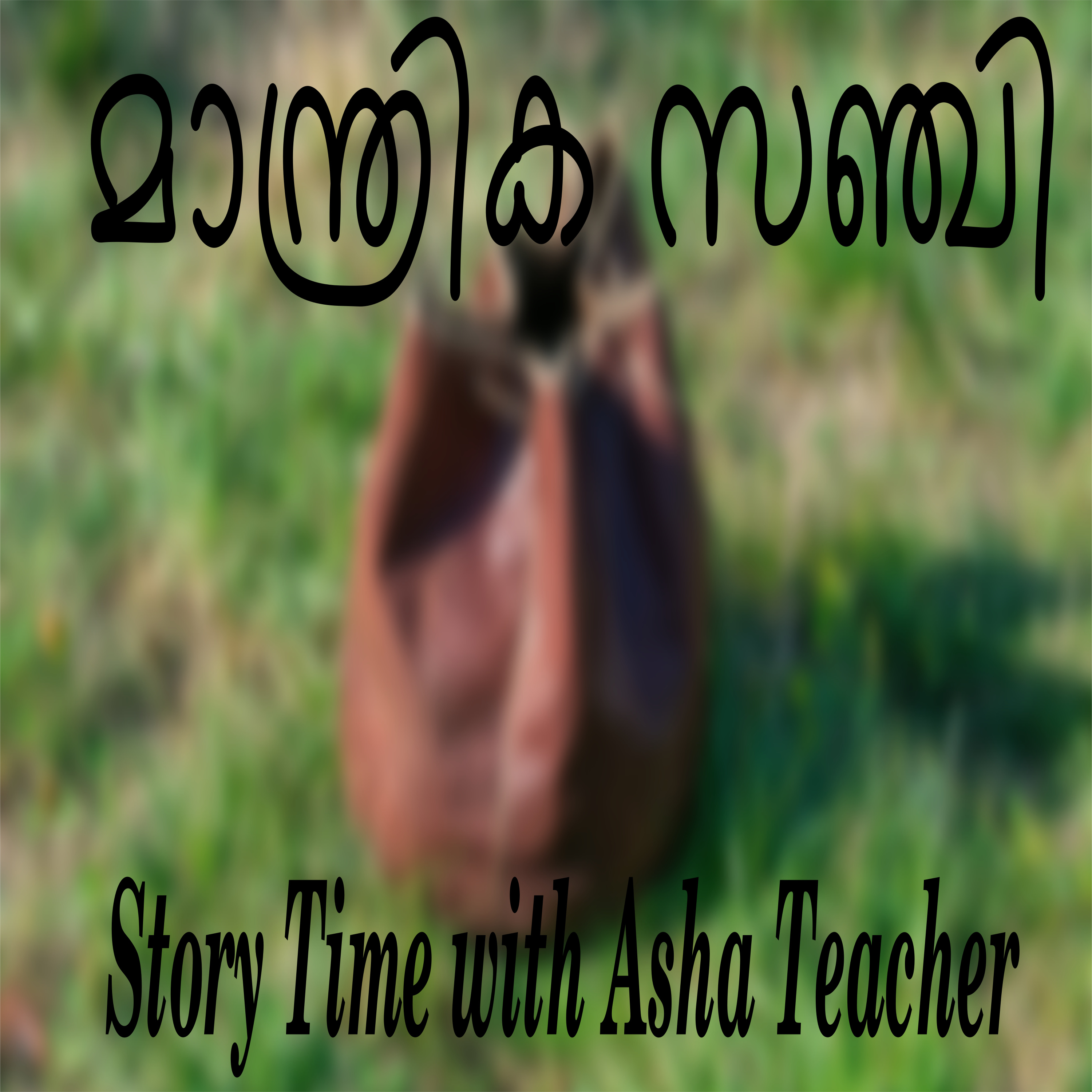 82 l The Magic Bag- A Story in Malayalam episode artwork