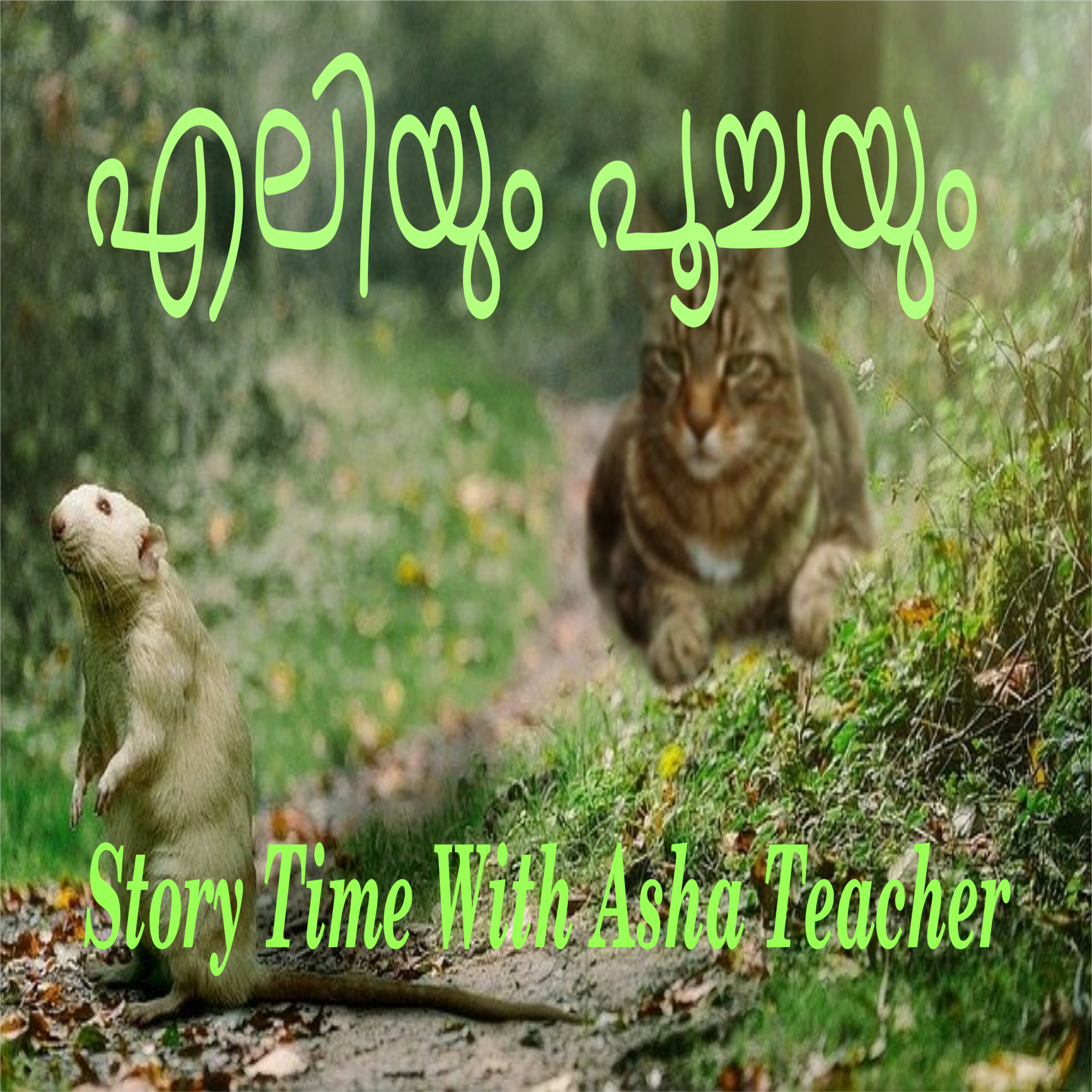 106 l The Cat and the Rat - A story in Malayalam episode artwork