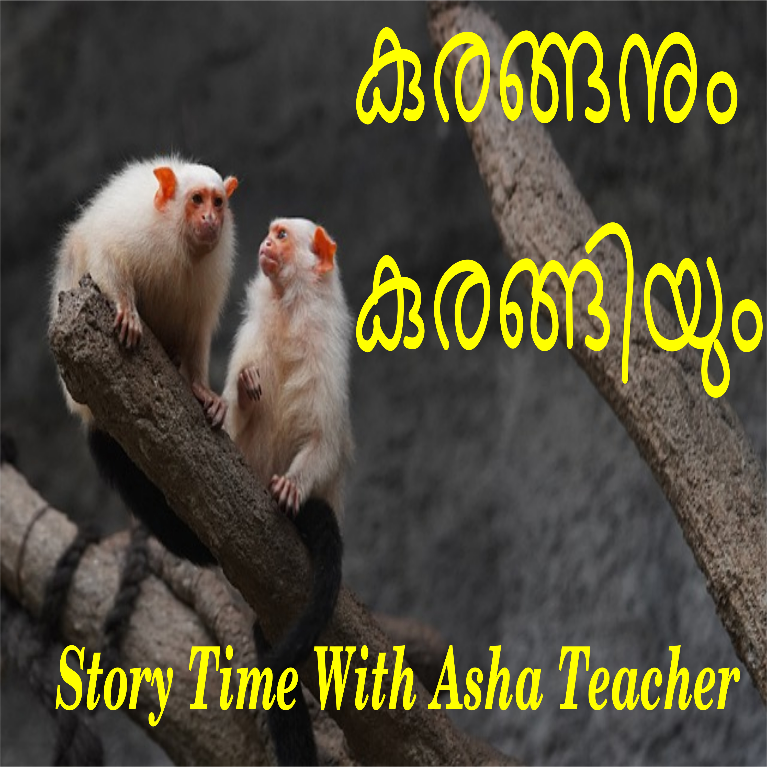 157 l Two Monkeys l An African Folk-tale in Malayalam episode artwork