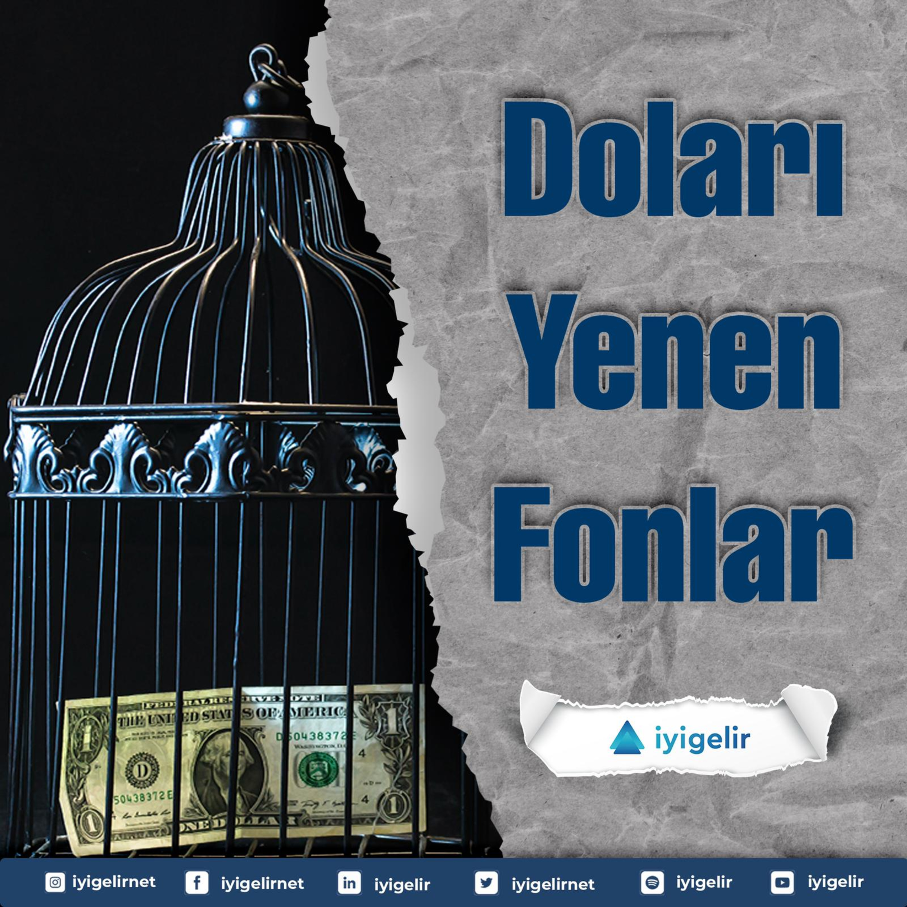 Doları Yenen Fonlar | Prof. Dr. Serra Eren Sarıoğlu episode artwork